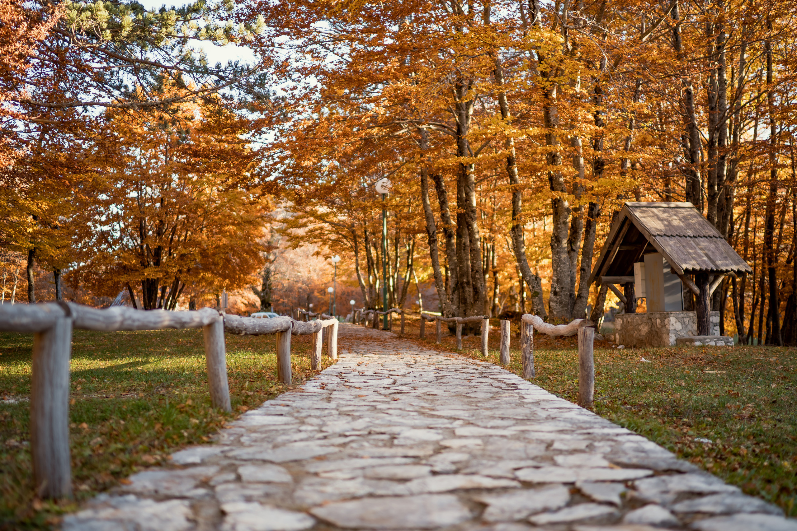 Herbst in Montenegro. Wetter, Erholung, Sehenswürdigkeiten, wohin gehe