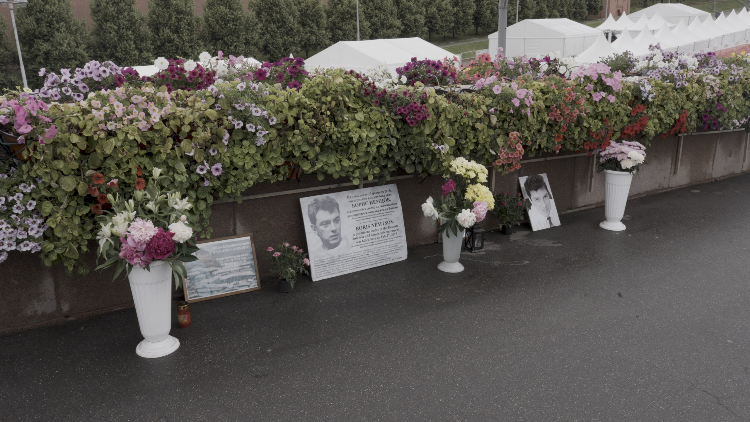 Wait and See. Tatiana Kireicheva