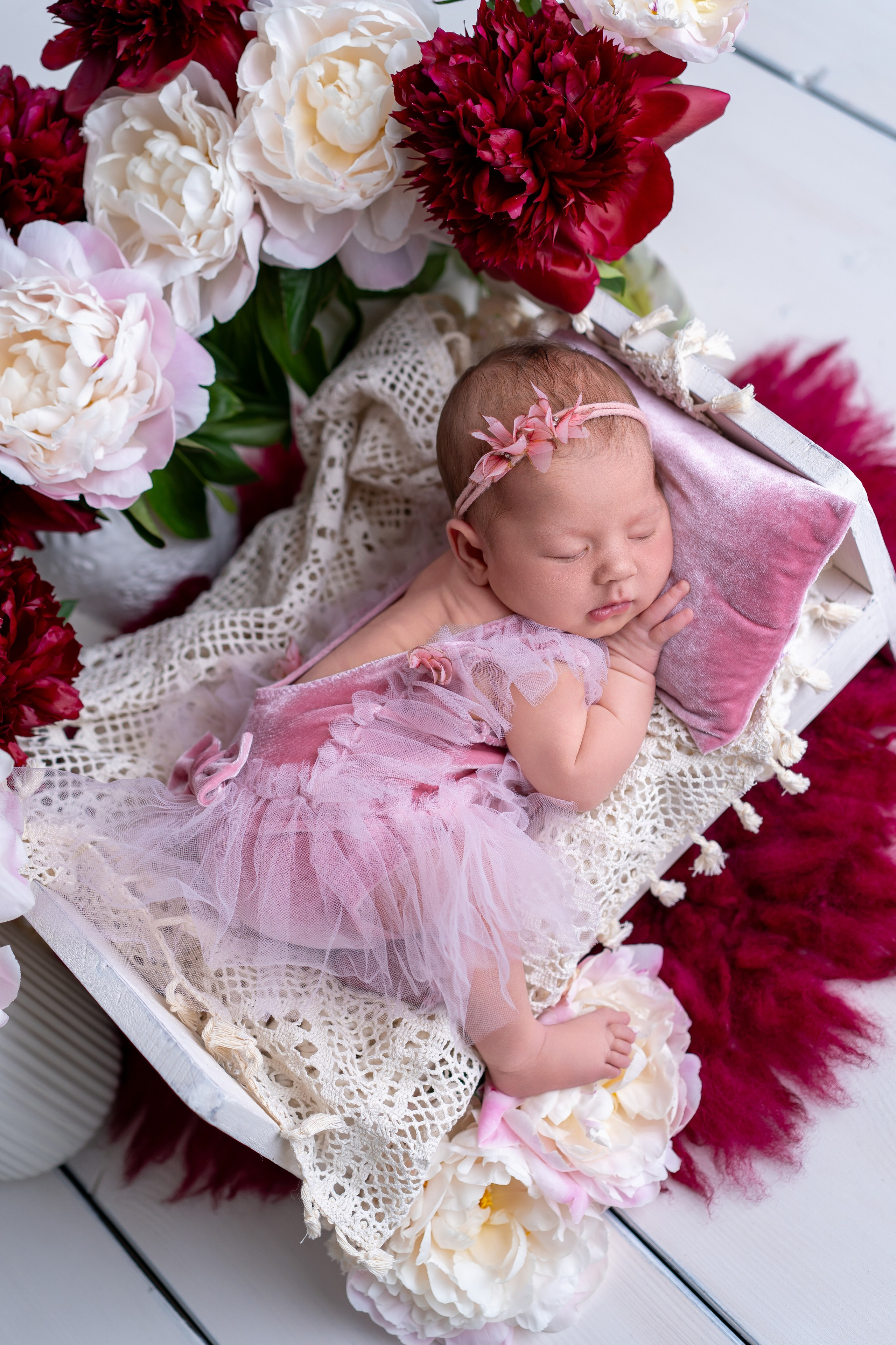 Neugeborenenfotos in Berlin – Studio oder bei Ihnen zu Hause