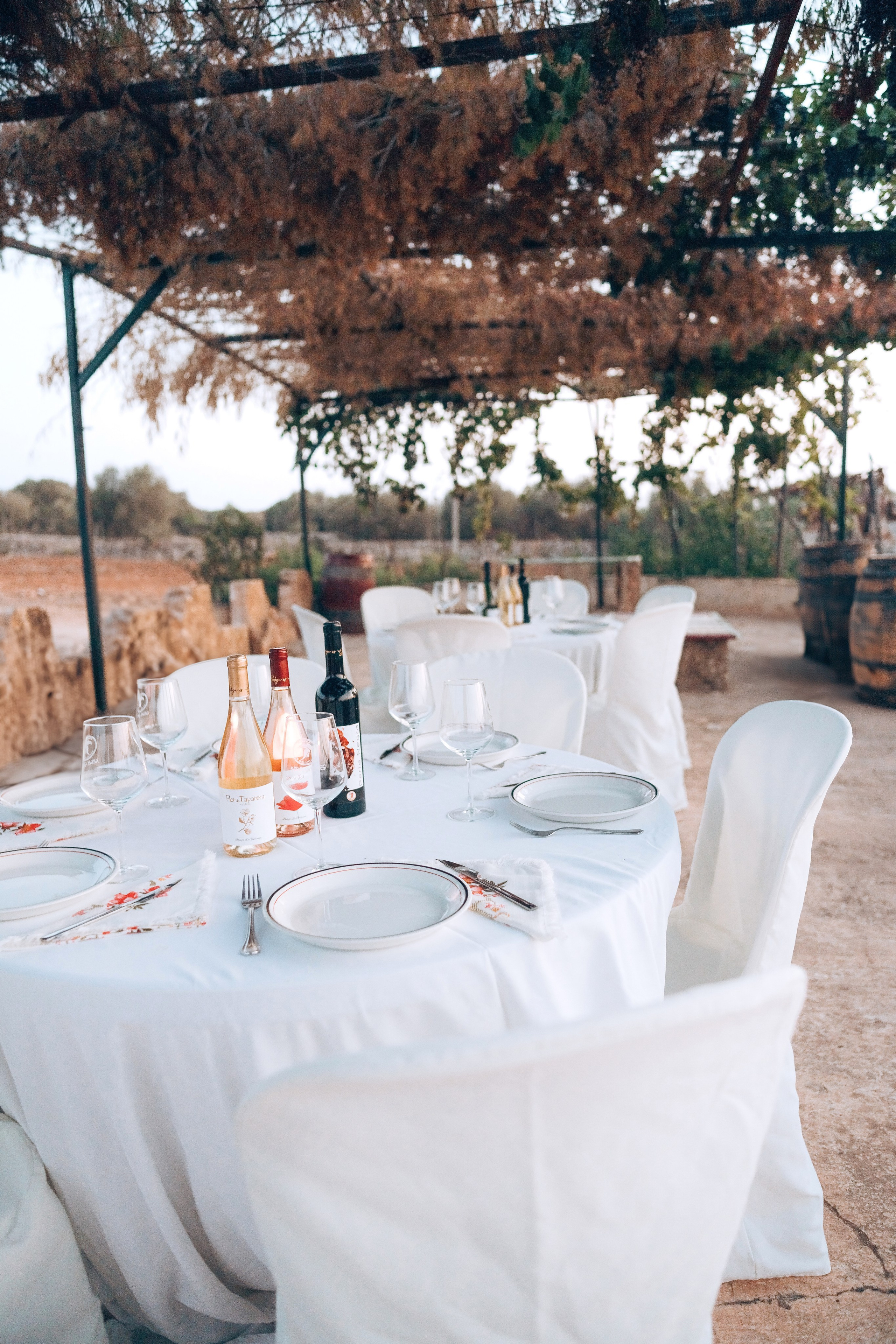 Bodega. Photographer in Mallorca