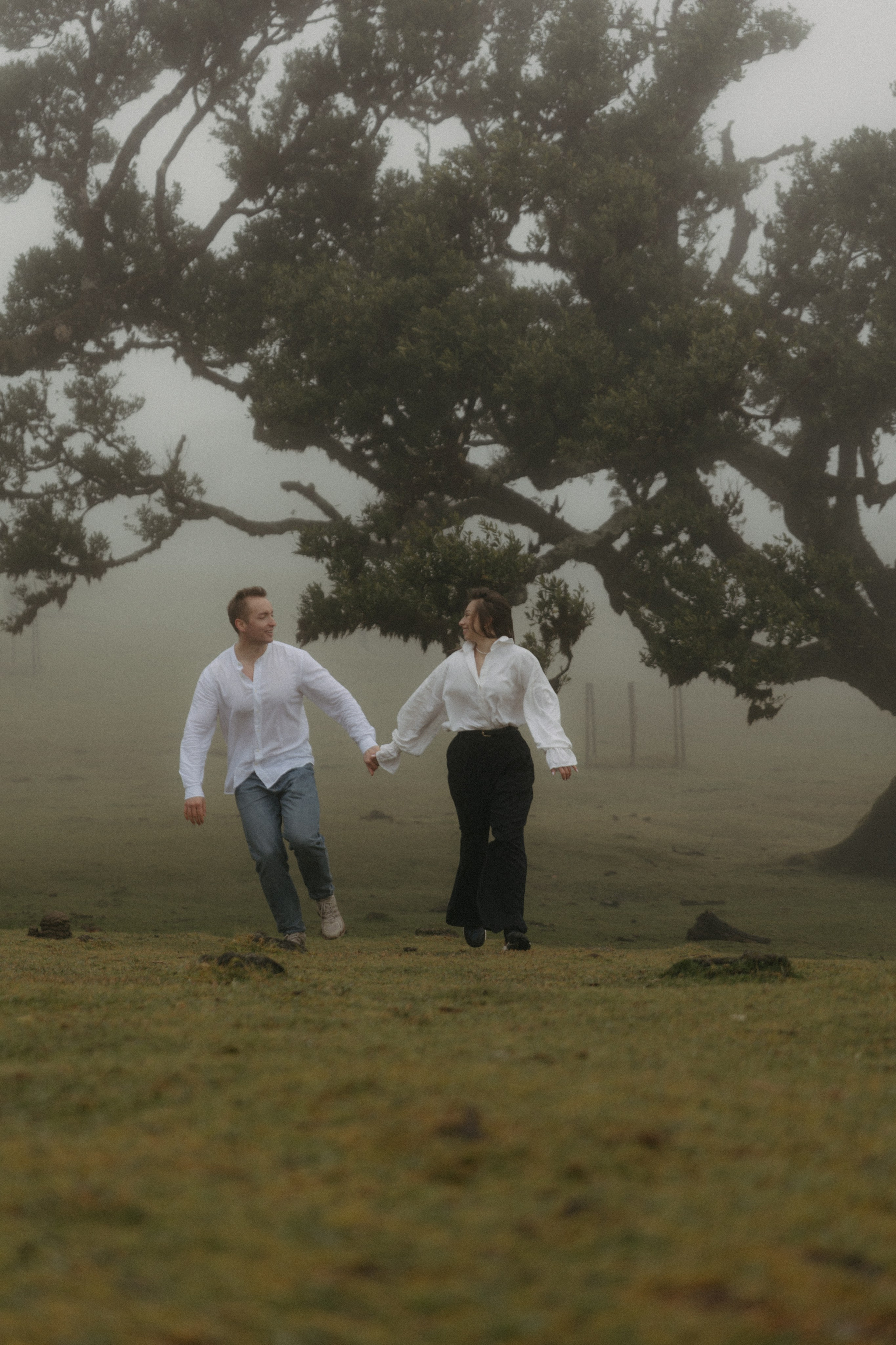 Magic of Fanal Forest. Wedding photographer and videographer based in Timisoara, Romania