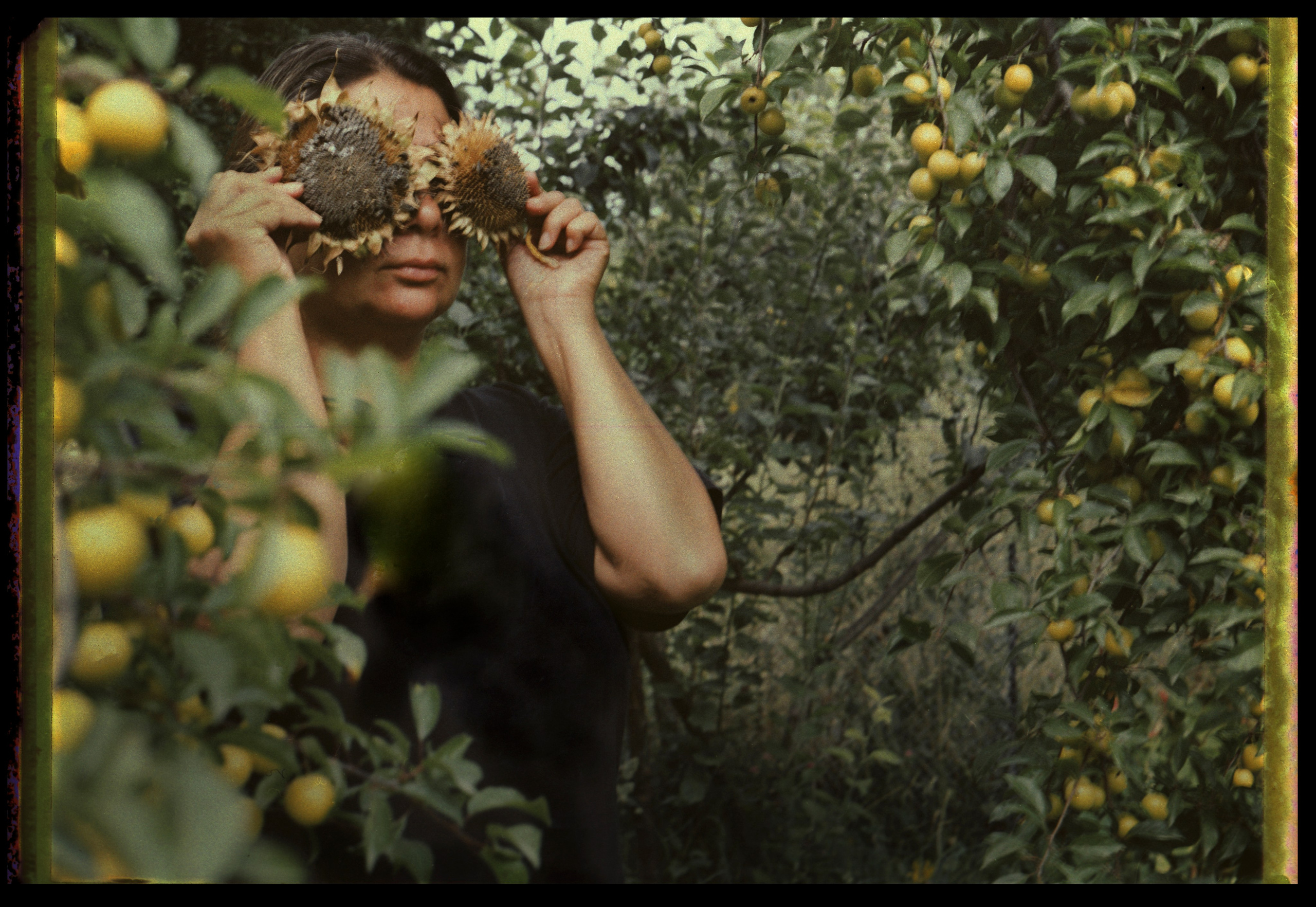 POLAROID. Www.sananaleskerov.com