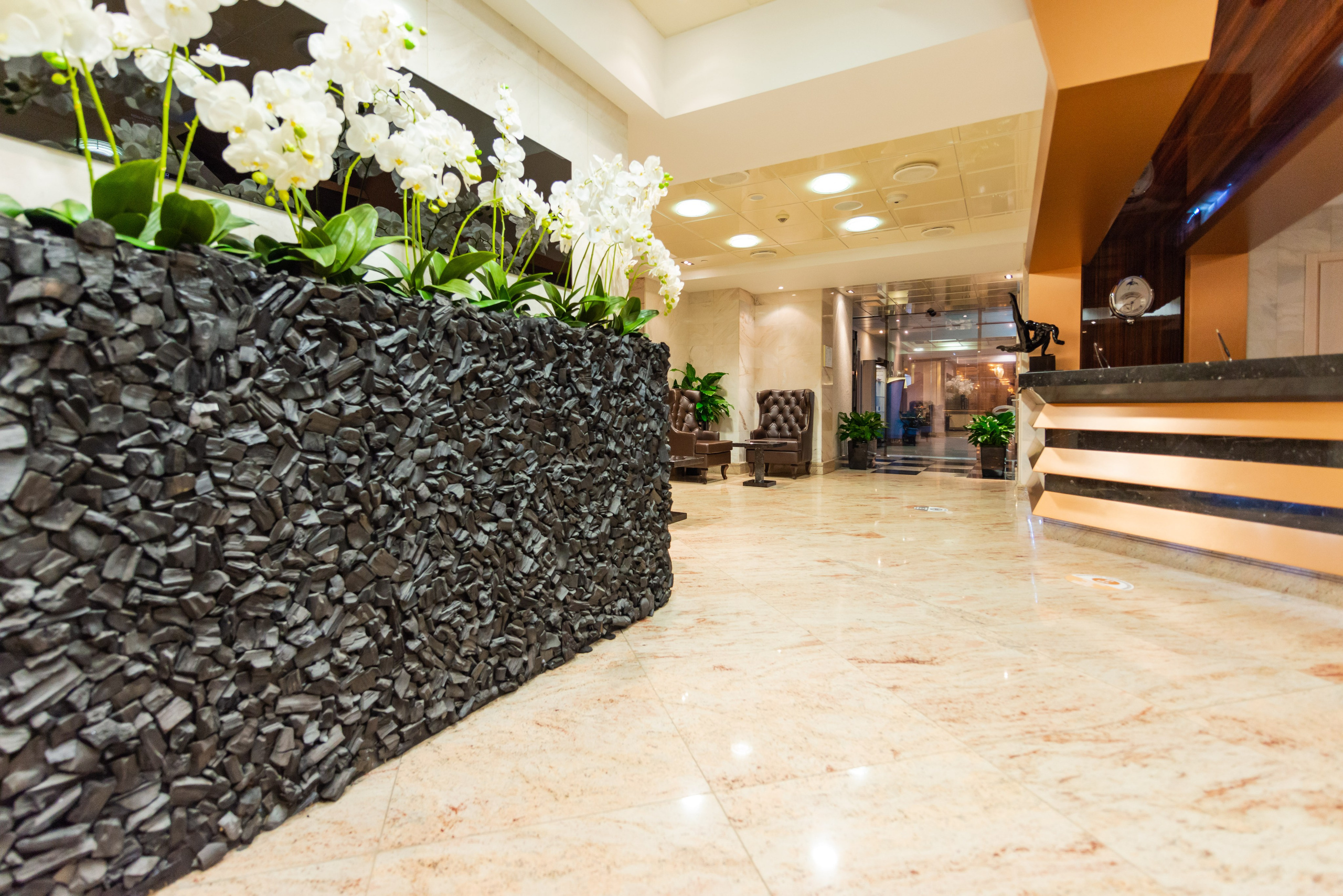 Фитнес-клуб Royal Wellness Club. ФОТОГРАФ МЕКСИКА КИНТАНА-РОО