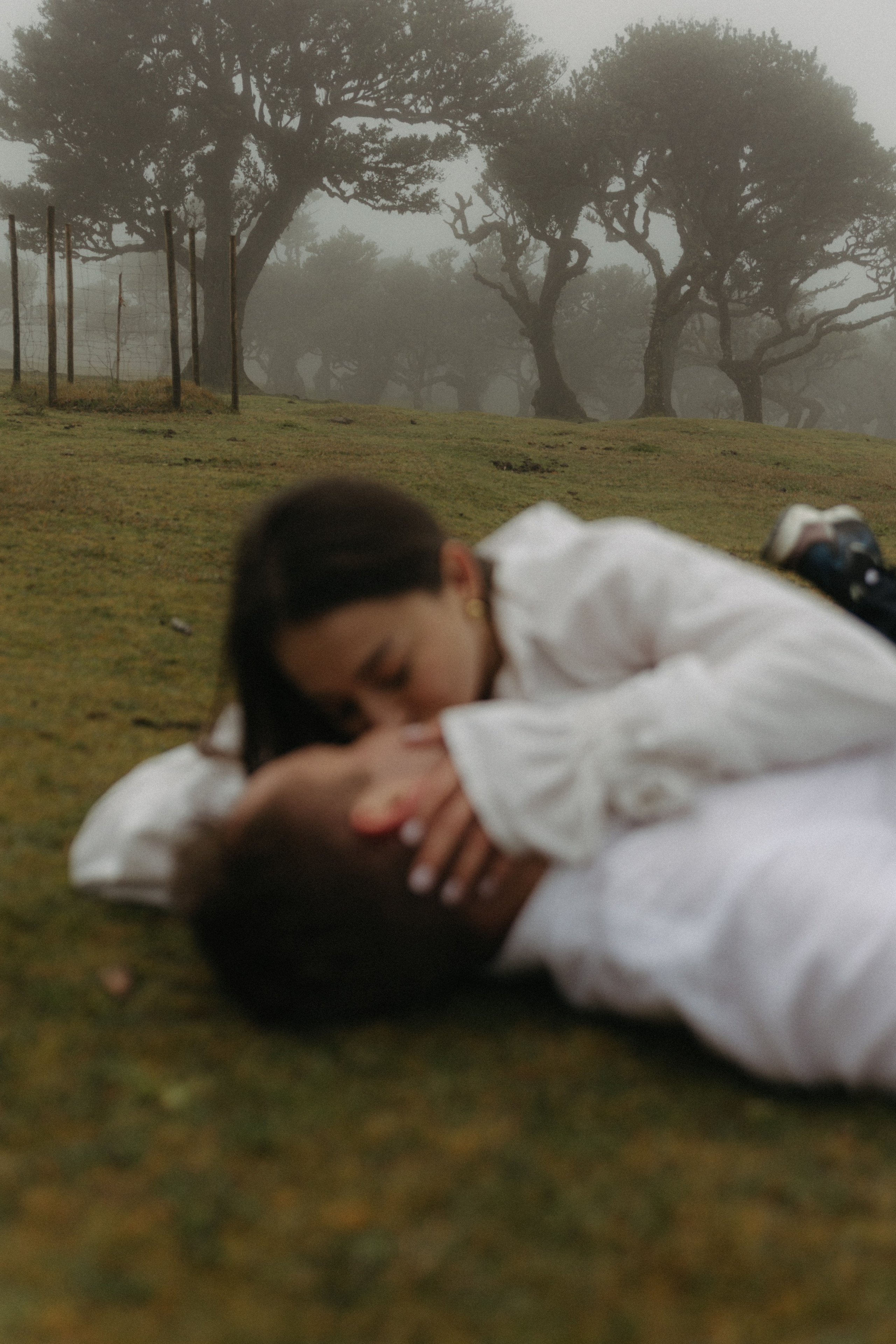 Magic of Fanal Forest. Wedding photographer and videographer based in Timisoara, Romania