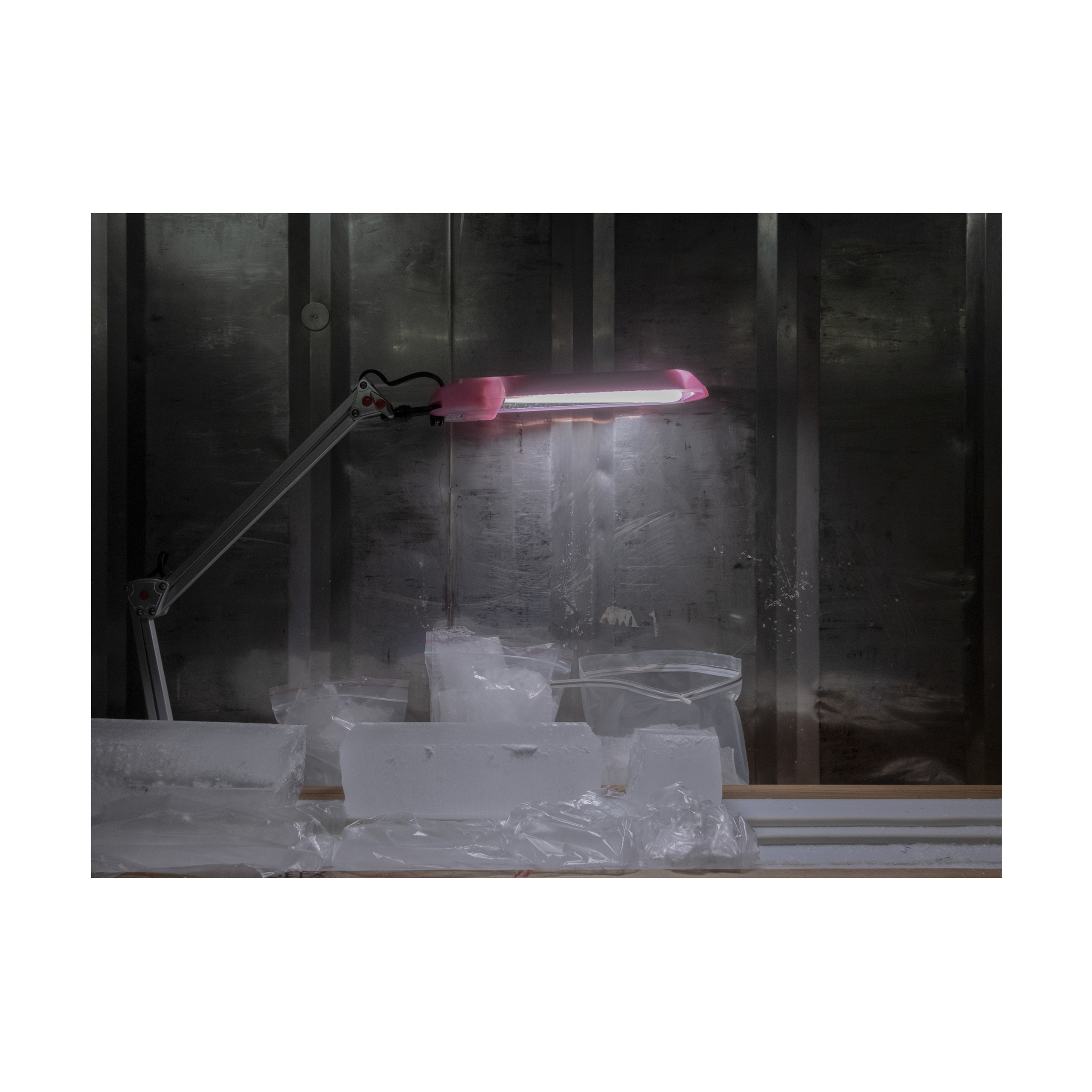 Willingness to freeze. Nelly Elagina