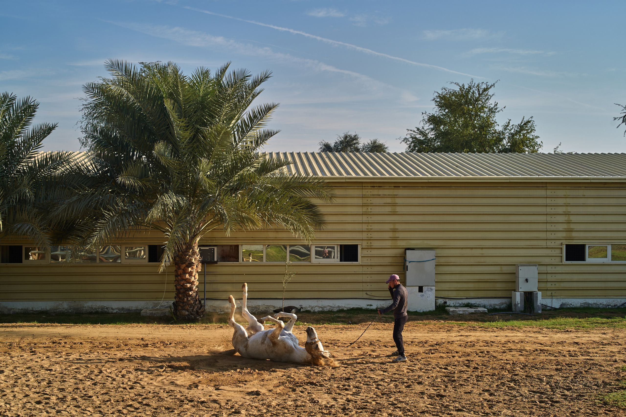 ENDURANCE HORSE RACING. Grigoriy Yaroshenko photography | Фотограф Григорий Ярошенко