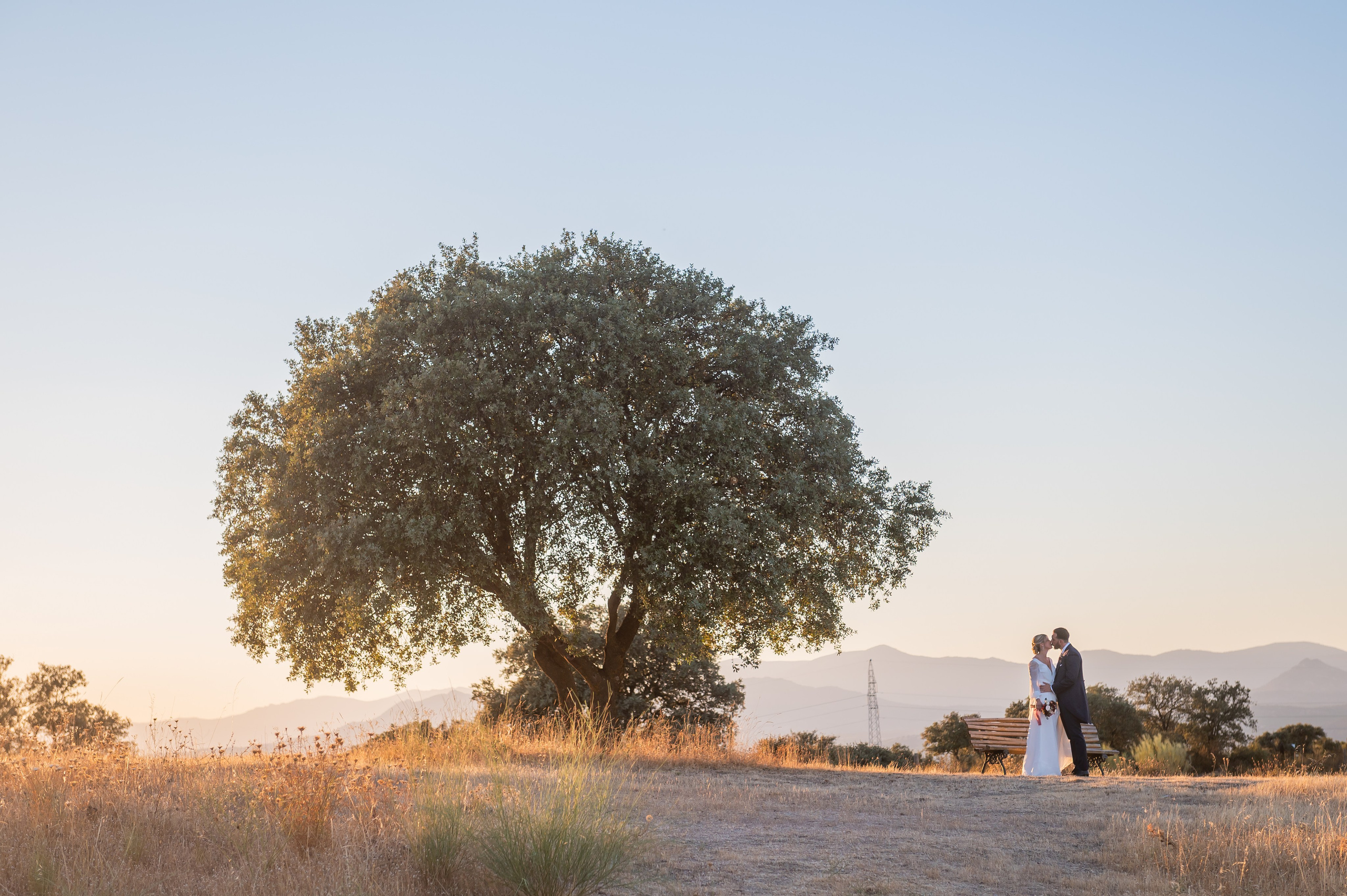 Aitor y Sandra. Boda en Finca Valdetrigos, Madrid. Fotógrafo de bodas en Valencia y toda España · Javier Poveda