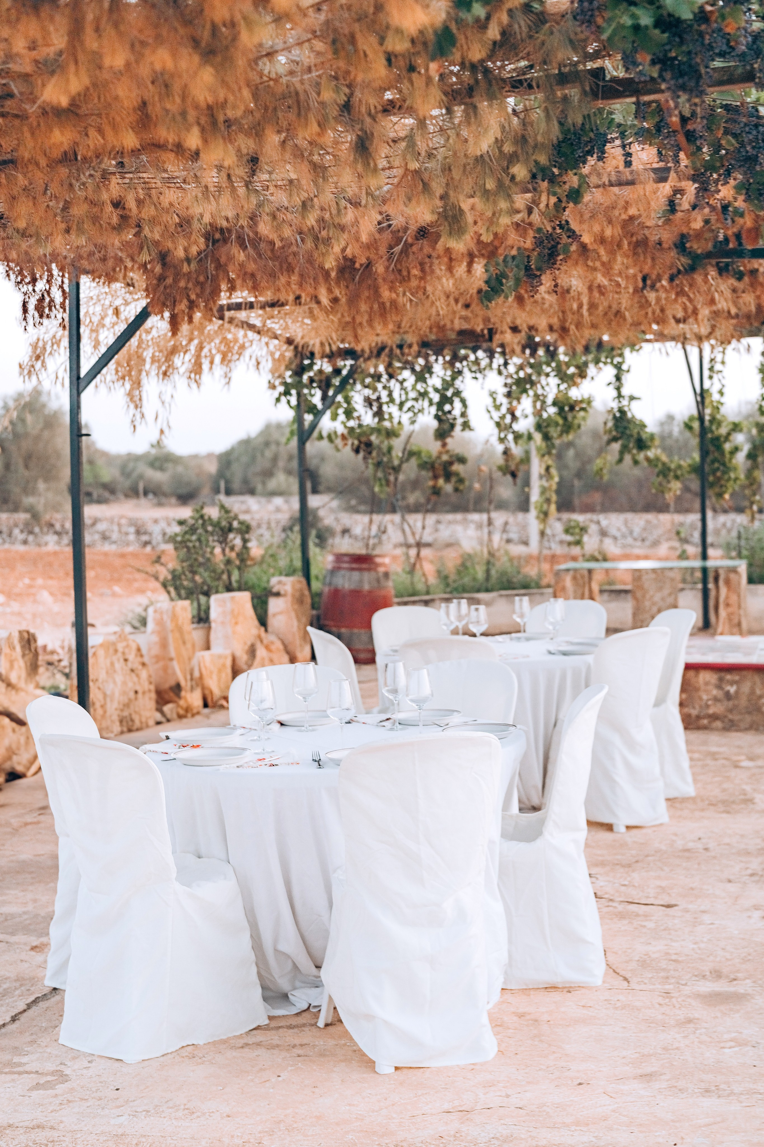 Bodega. Photographer in Mallorca