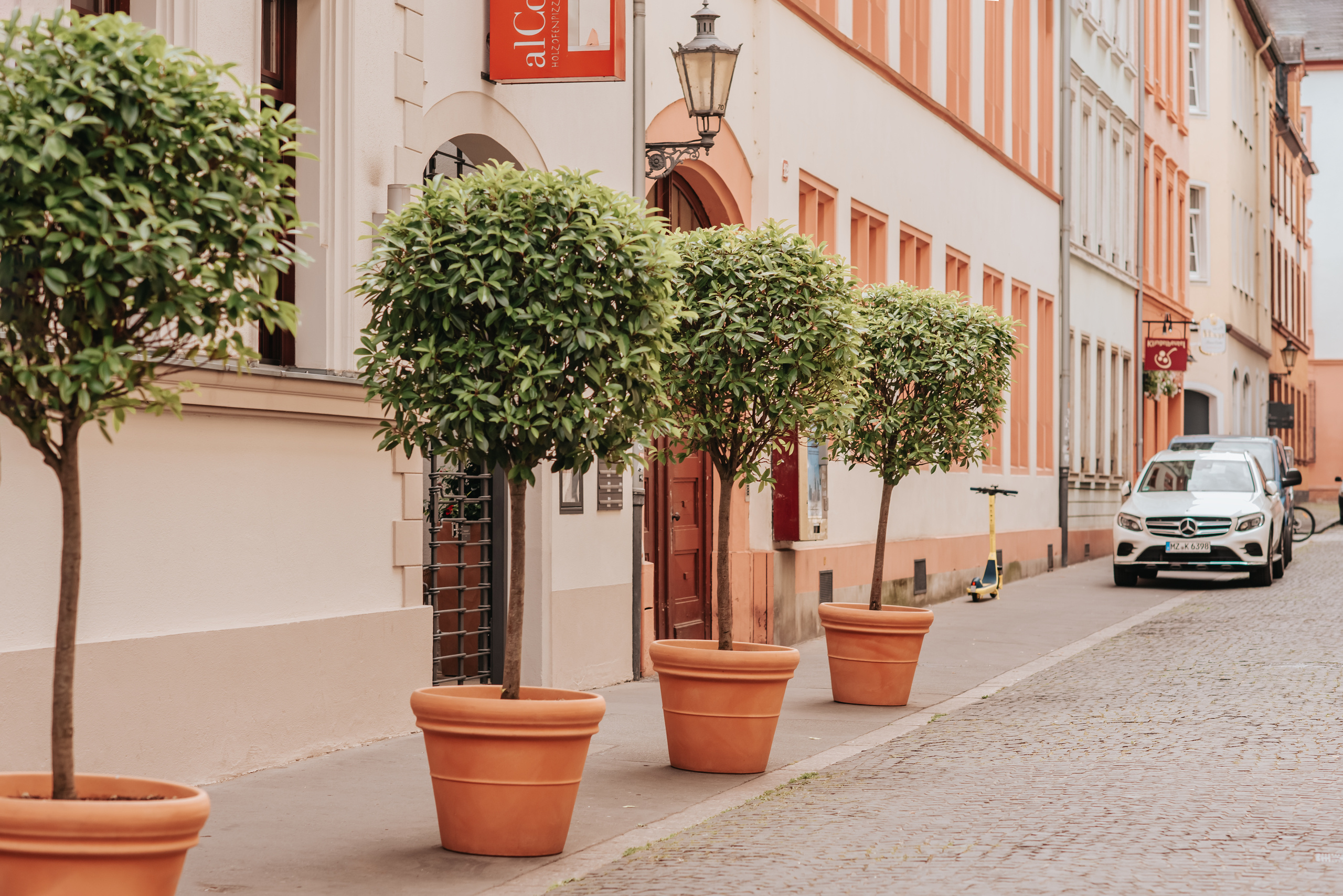 Standesamtliche Trauung in Mainz|Iryna Korenkova Fotografie. Fotografin in Hanau|Frankfurt|Mainz|Iryna Korenkova