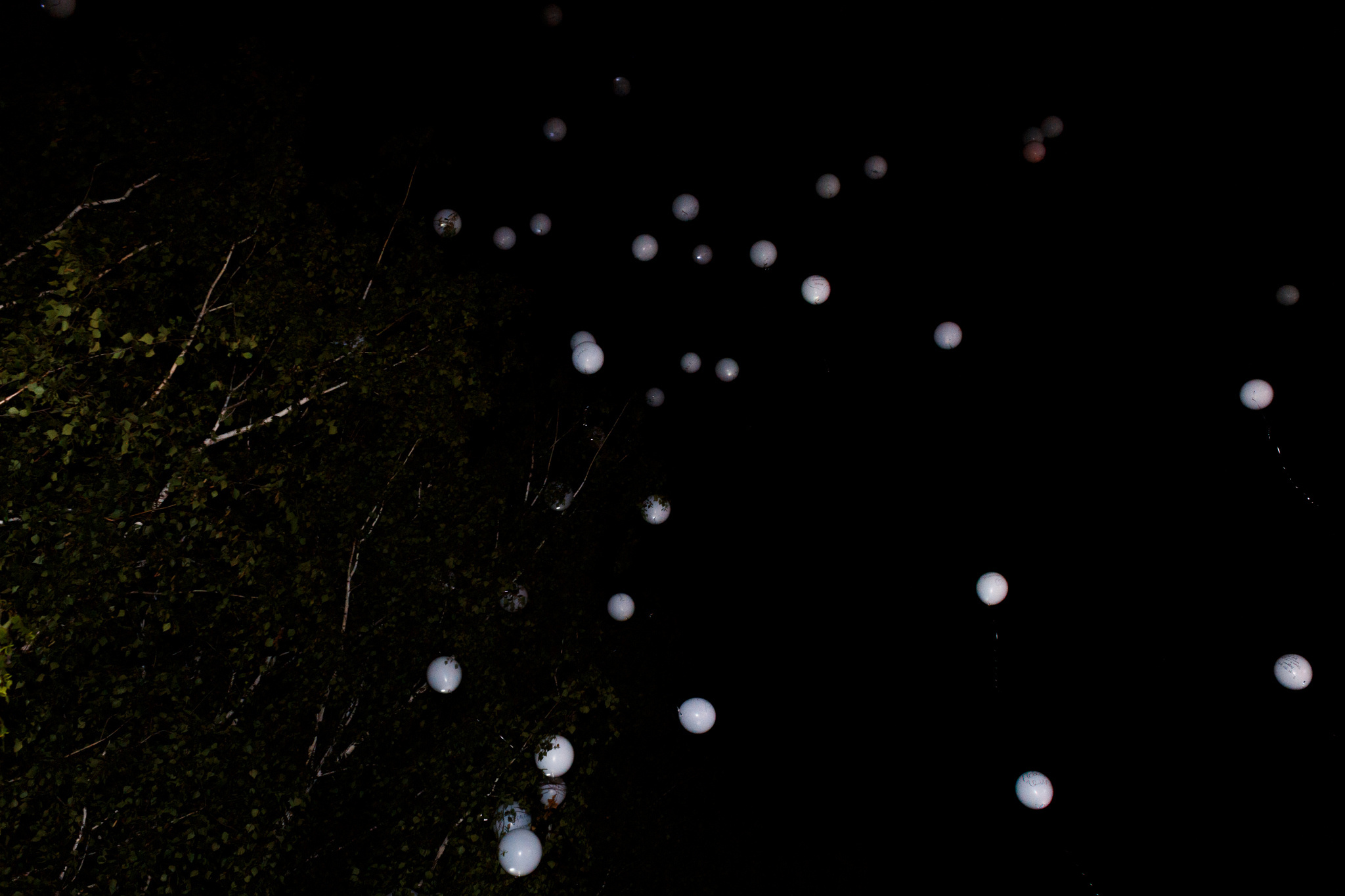 Свадьба Саши и Влада — Свадебный фотограф Запорожье Photoduet Sunday. Свадебный фотограф в Запорожье Photoduet Sunday