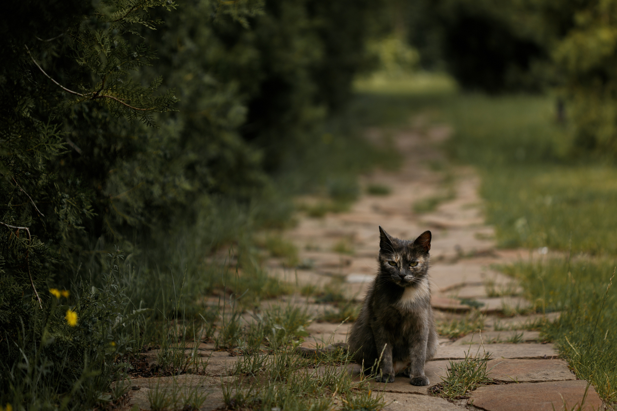 Свадьба Ильи и Насти — Свадебный фотограф Запорожье Photoduet Sunday. Свадебный фотограф в Запорожье Photoduet Sunday