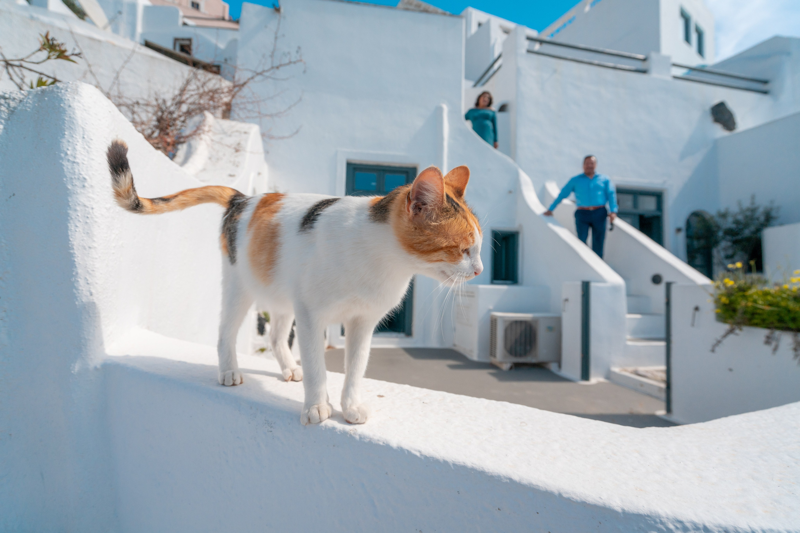 Photoshoot locations in Santorini, photo by SokoLOVE. Photographer in Santorini SokoLOVE Alex| Flying Dress Santorini