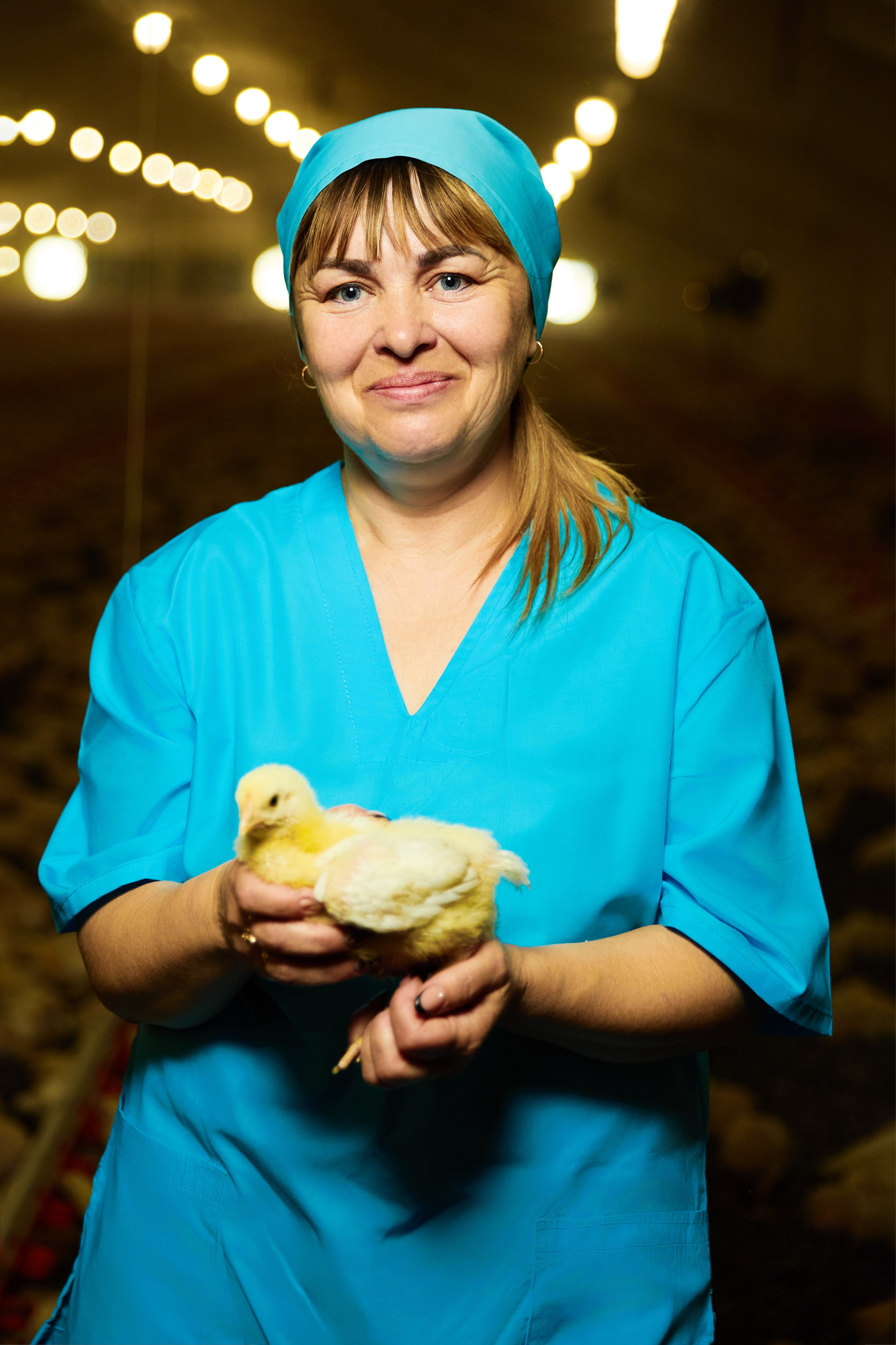 Комплексна фотосесія для птахокомплексу «Дніпровський» (1)