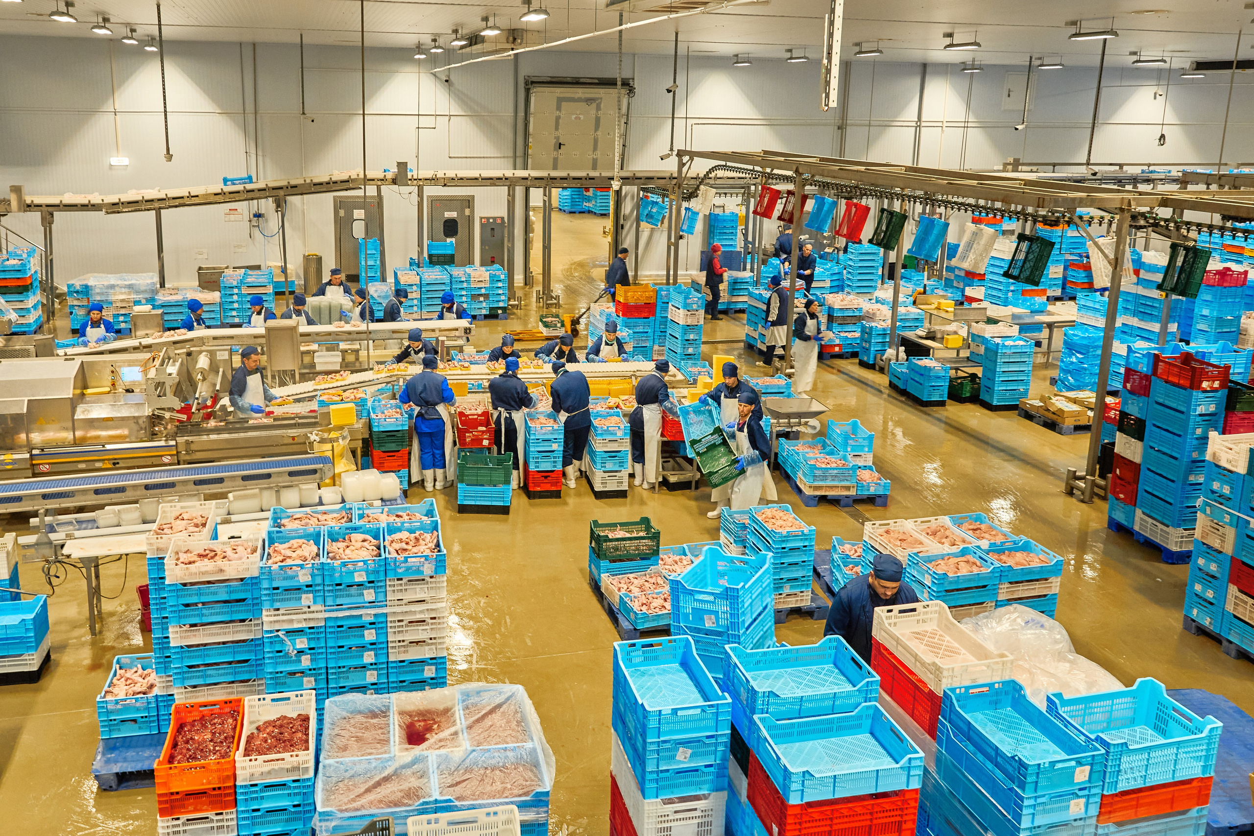 Комплексна фотосесія для птахокомплексу «Дніпровський» (1)