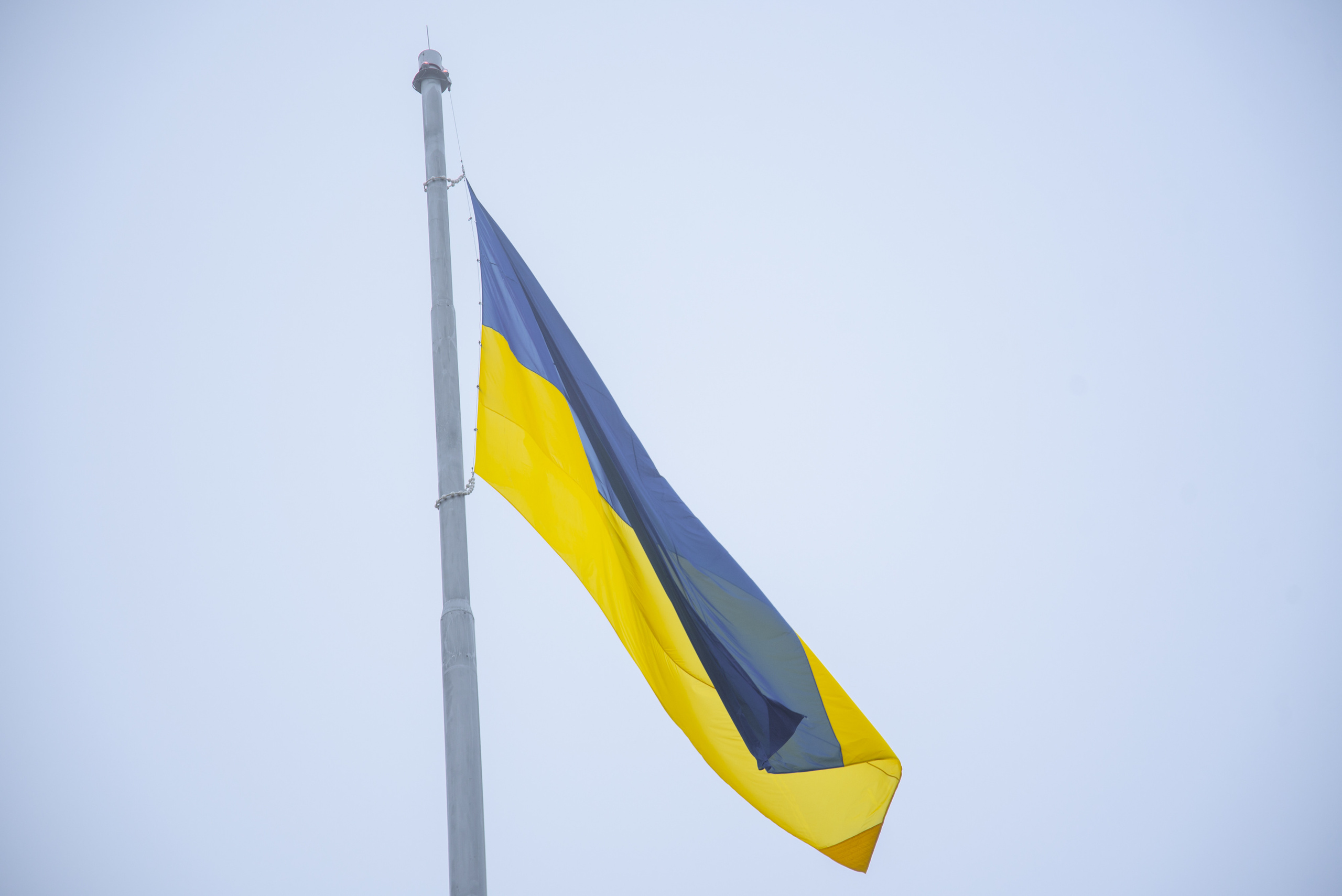 День єднання у Житомирі. Фотограф Анастасія Залужна | Манхайм