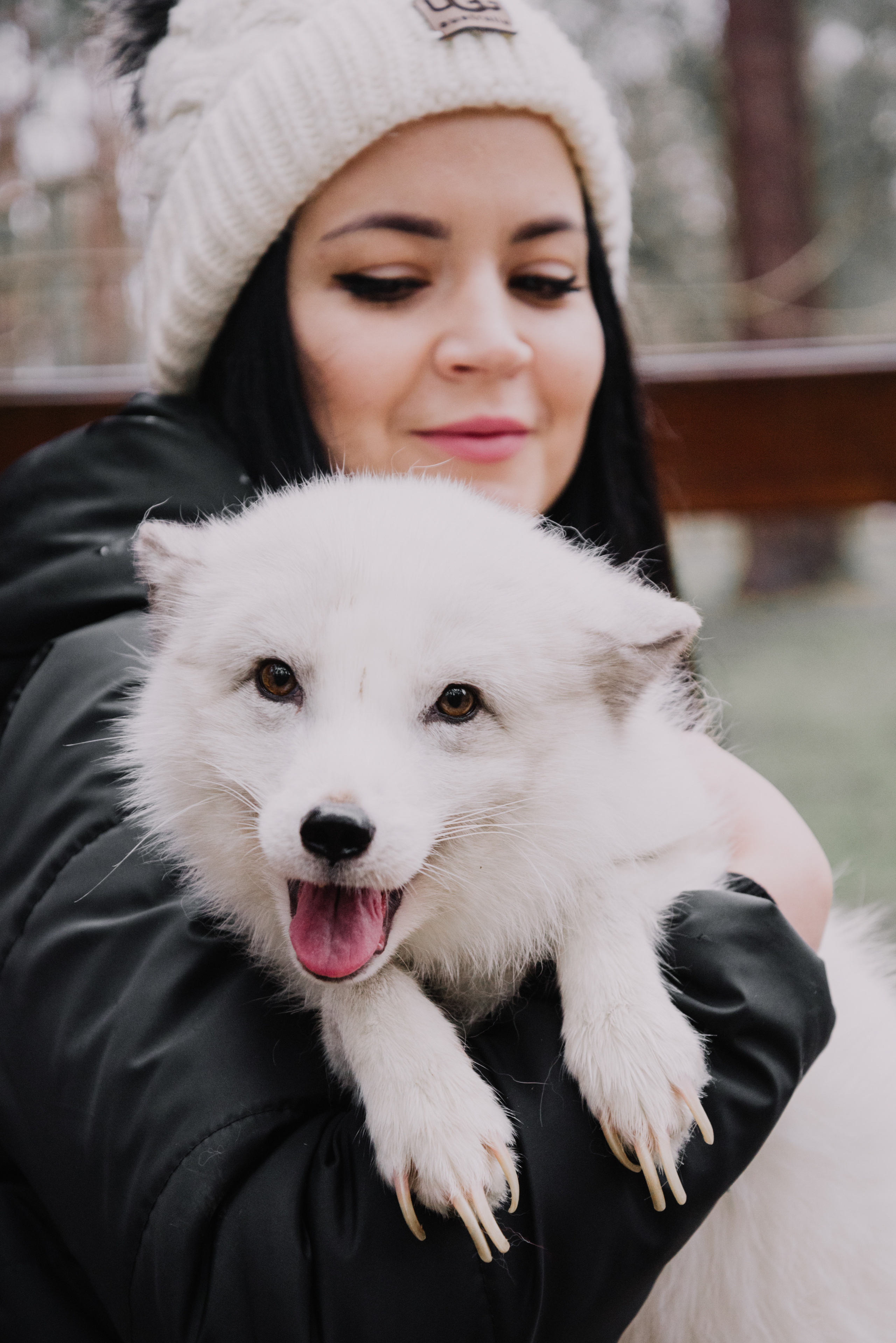 Кікі. Фотограф Анастасія Залужна | Манхайм