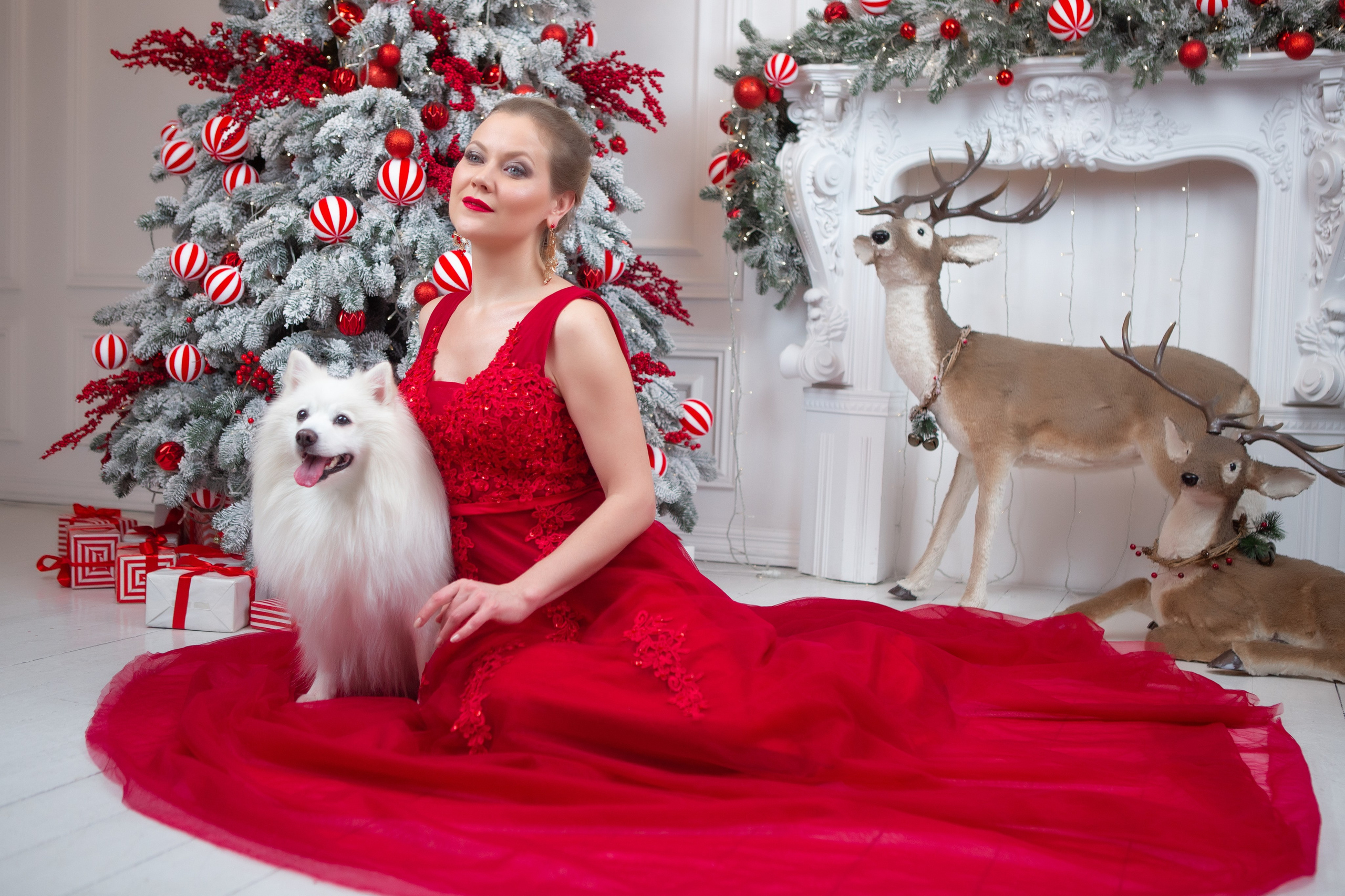 Новорічна пропозиція. Фотограф Катерина Мумжинська