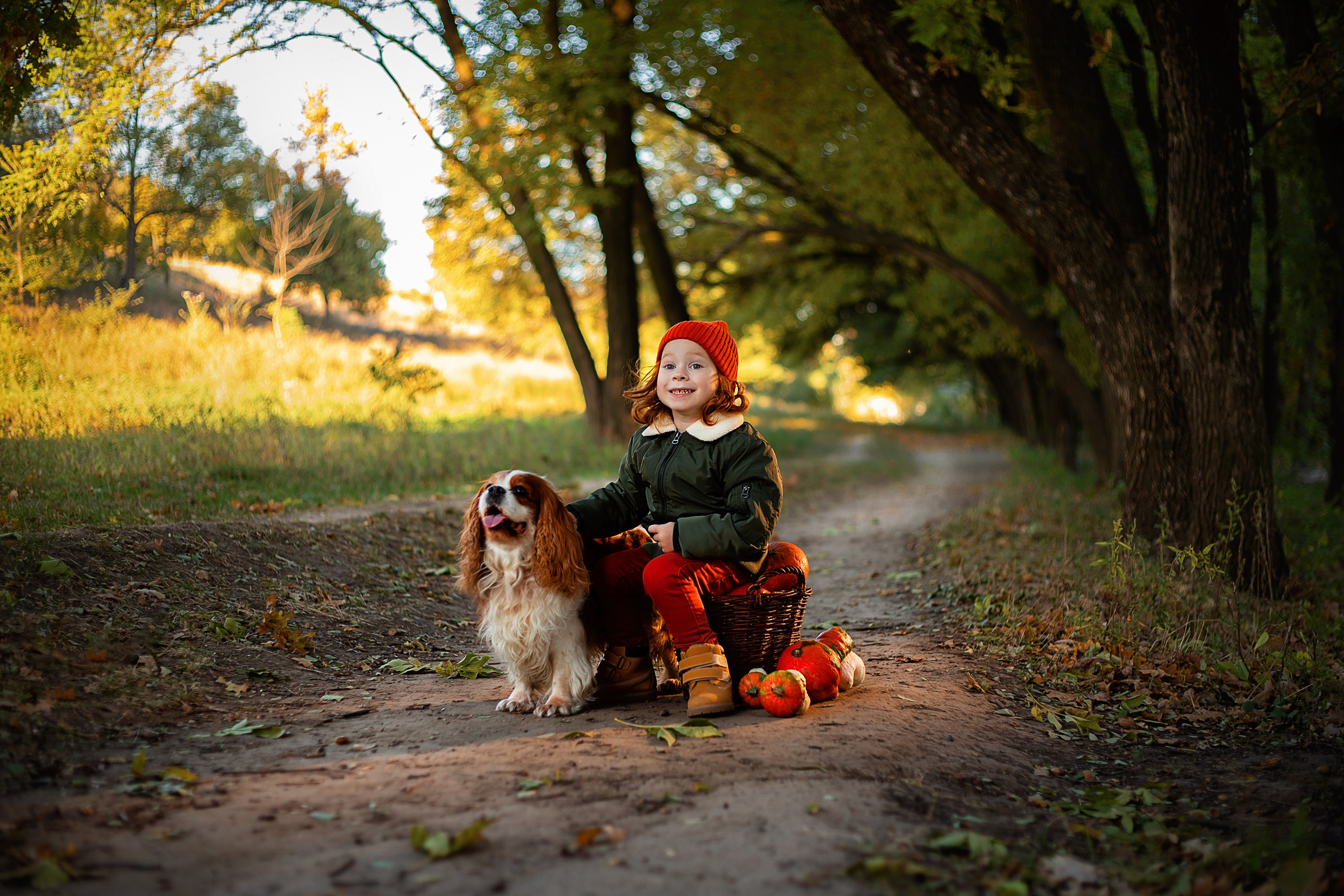 Корекція кольору. Акулова Олена