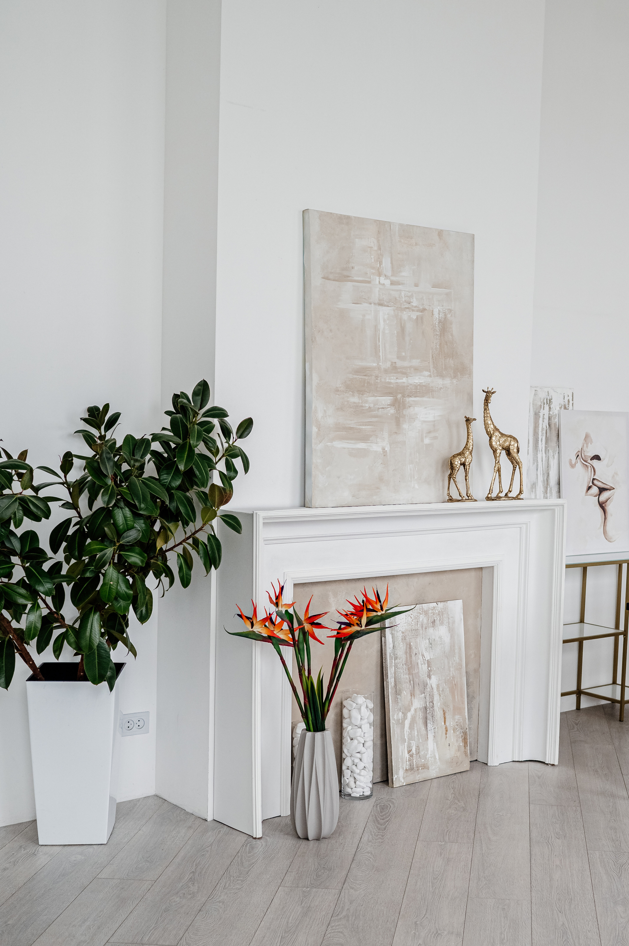 Фотостудии Одессы. Фотограф в Одессе, Киеве, Донецке Helena