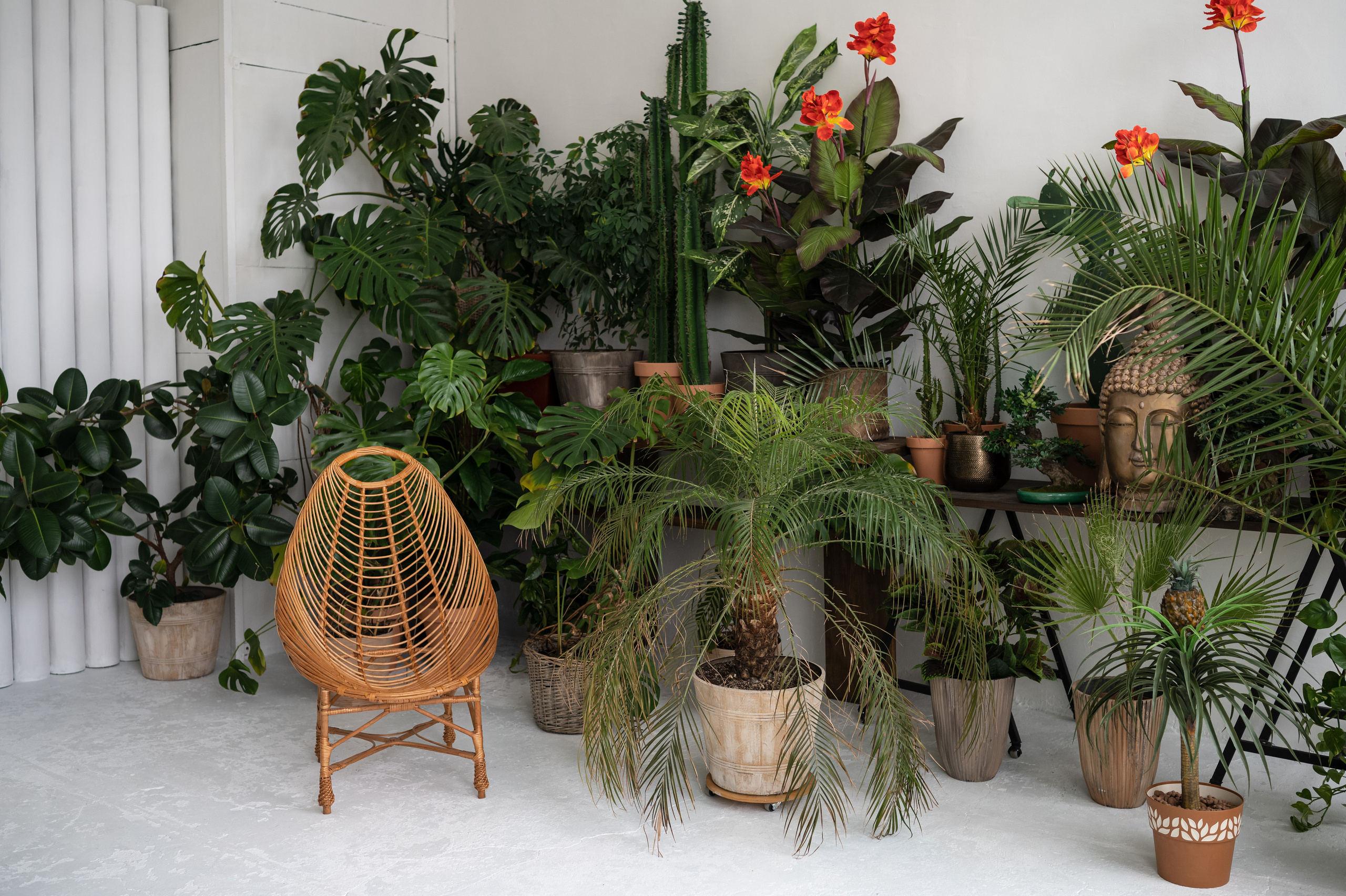 Фотостудии Одессы. Фотограф в Одессе, Киеве, Донецке Helena