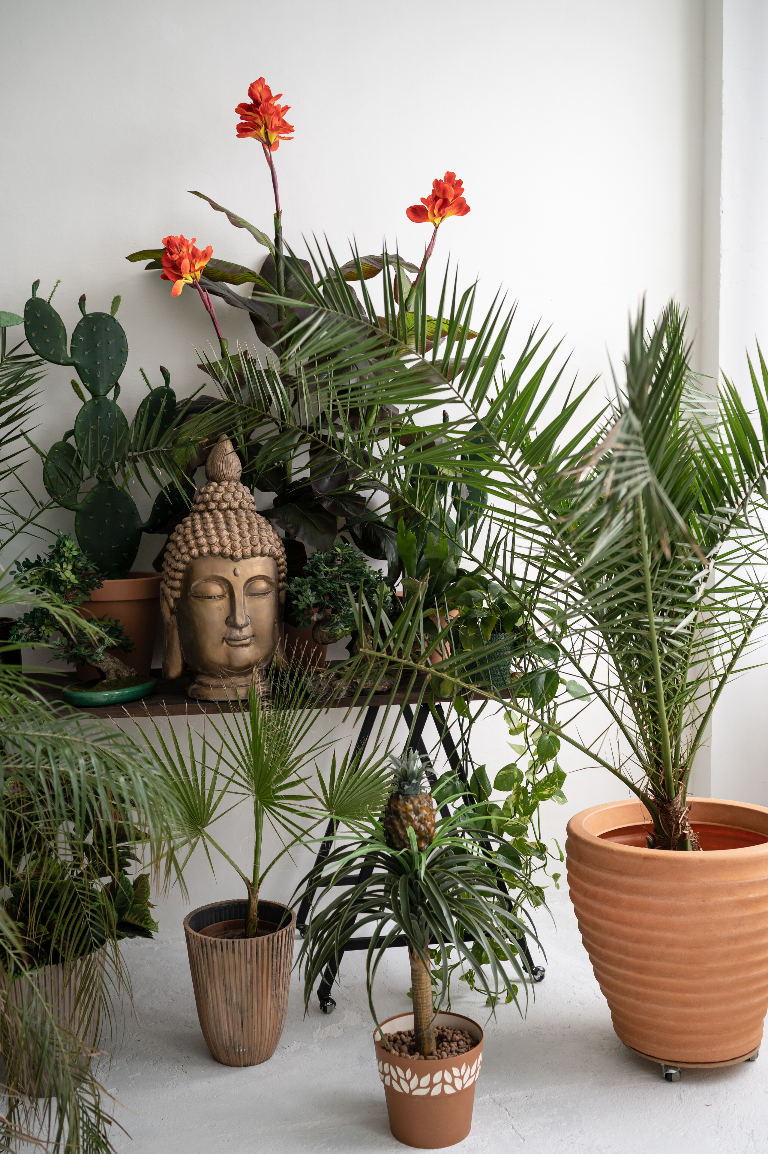 Фотостудии Одессы. Фотограф в Одессе, Киеве, Донецке Helena