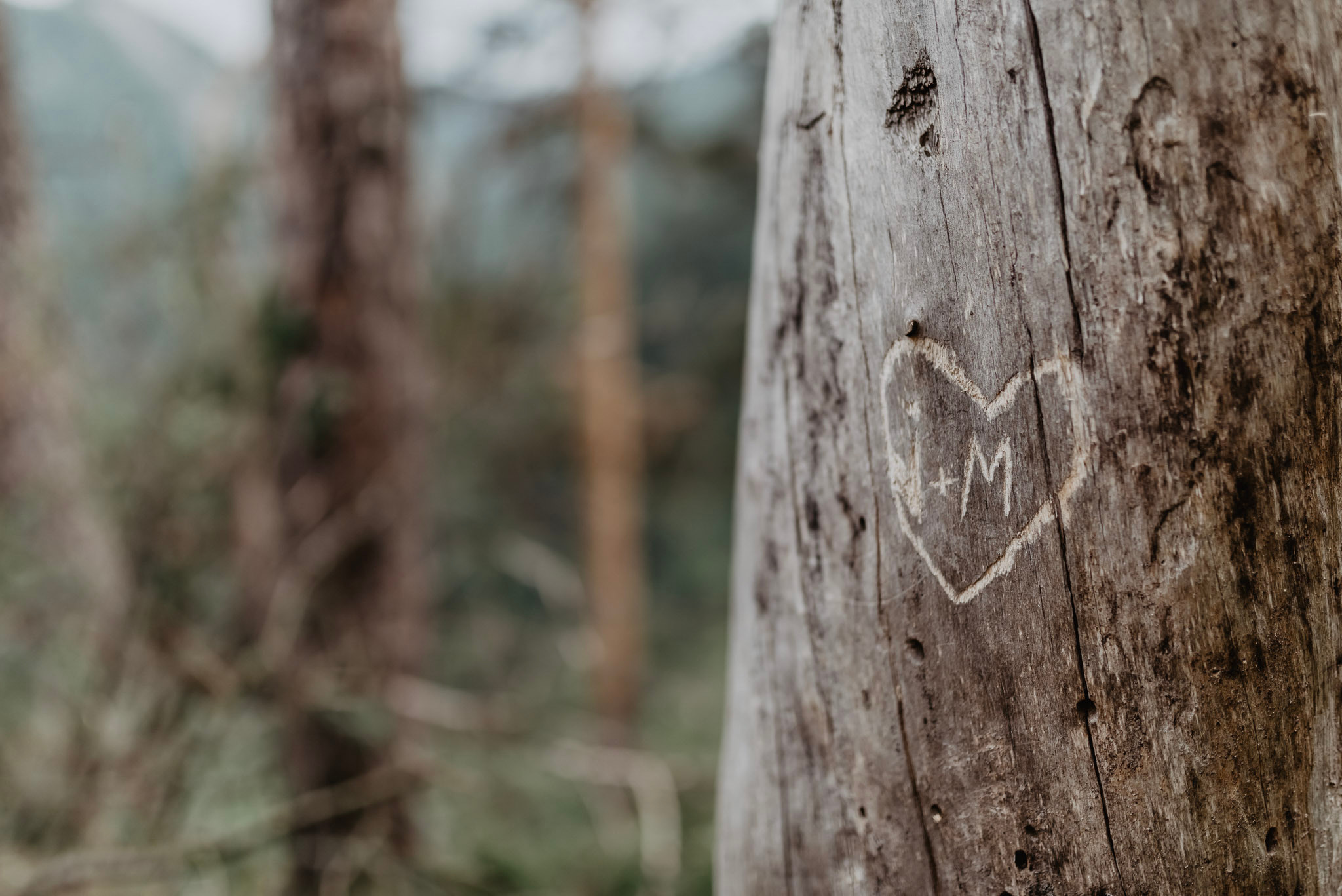 Sylwia & Tomek - Plener Ślubny w Pieninach. Naturalnie pięknie - Klaudia Rowicka