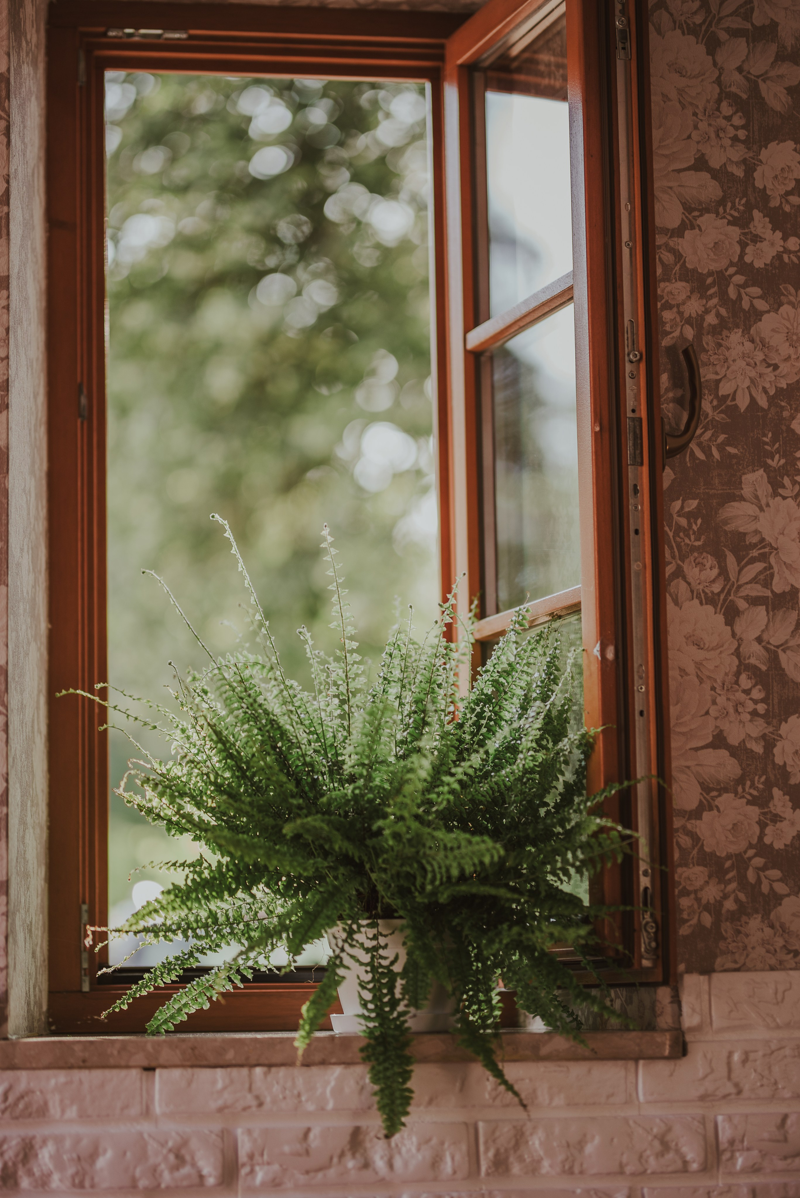 Blueberry Duck Milanówek. Naturalnie pięknie - Klaudia Rowicka