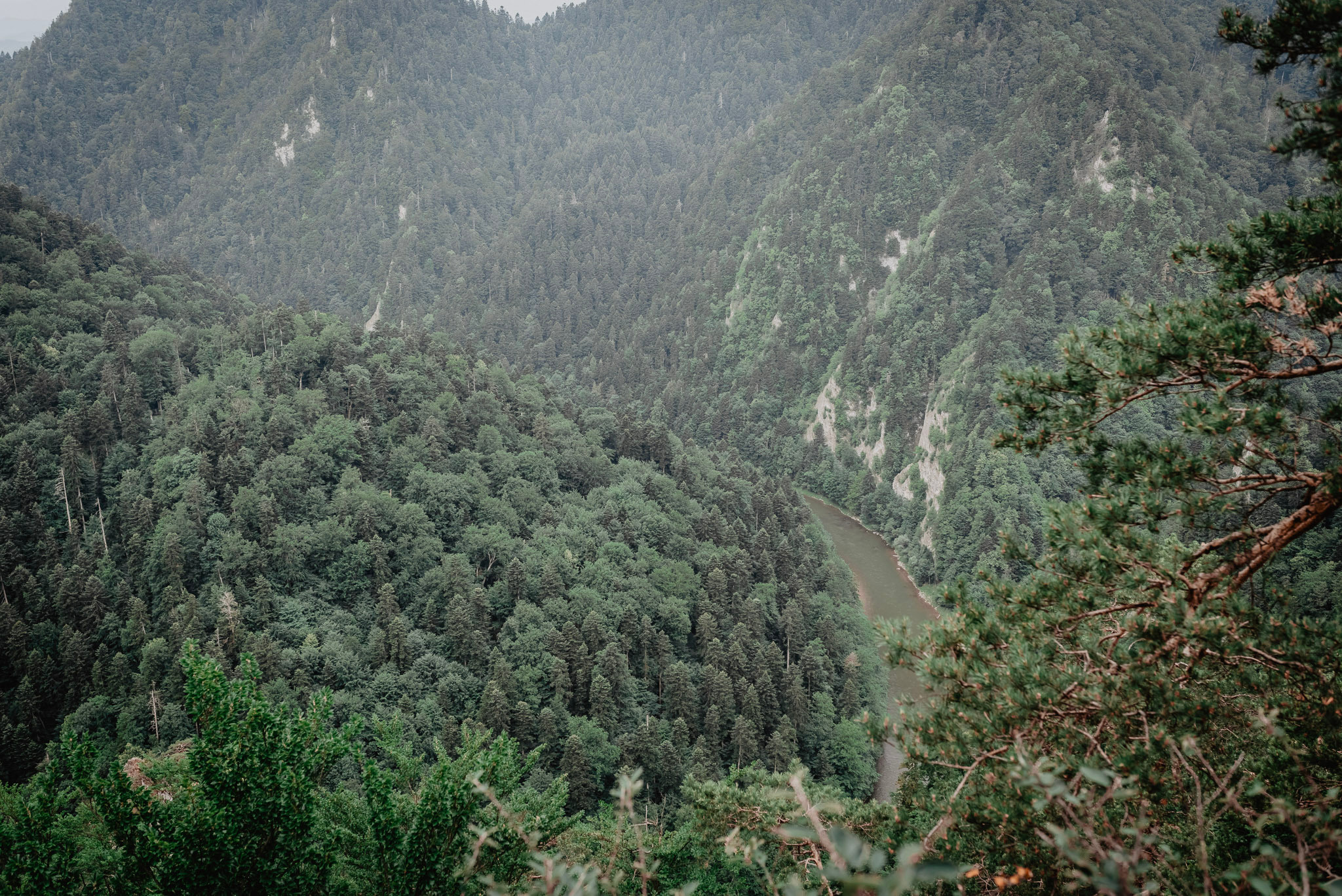 Sylwia & Tomek - Plener Ślubny w Pieninach. Naturalnie pięknie - Klaudia Rowicka