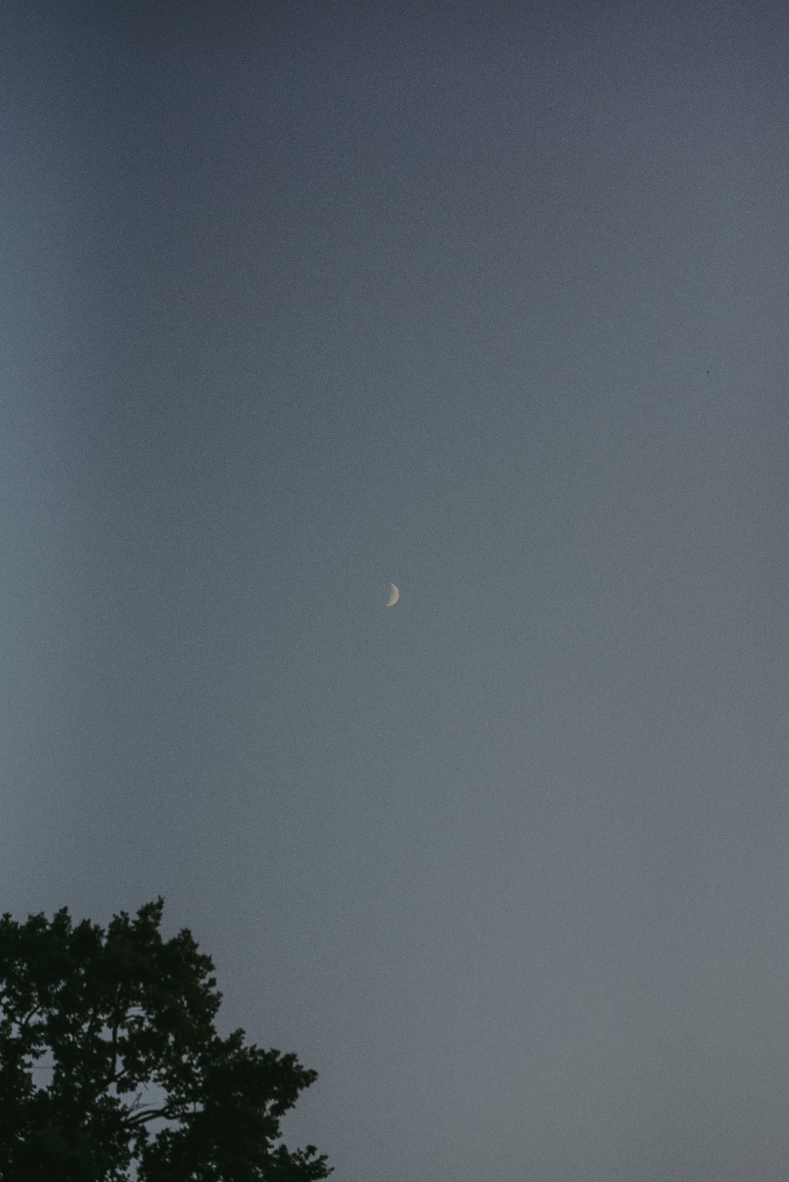 Blueberry Duck Milanówek. Naturalnie pięknie - Klaudia Rowicka