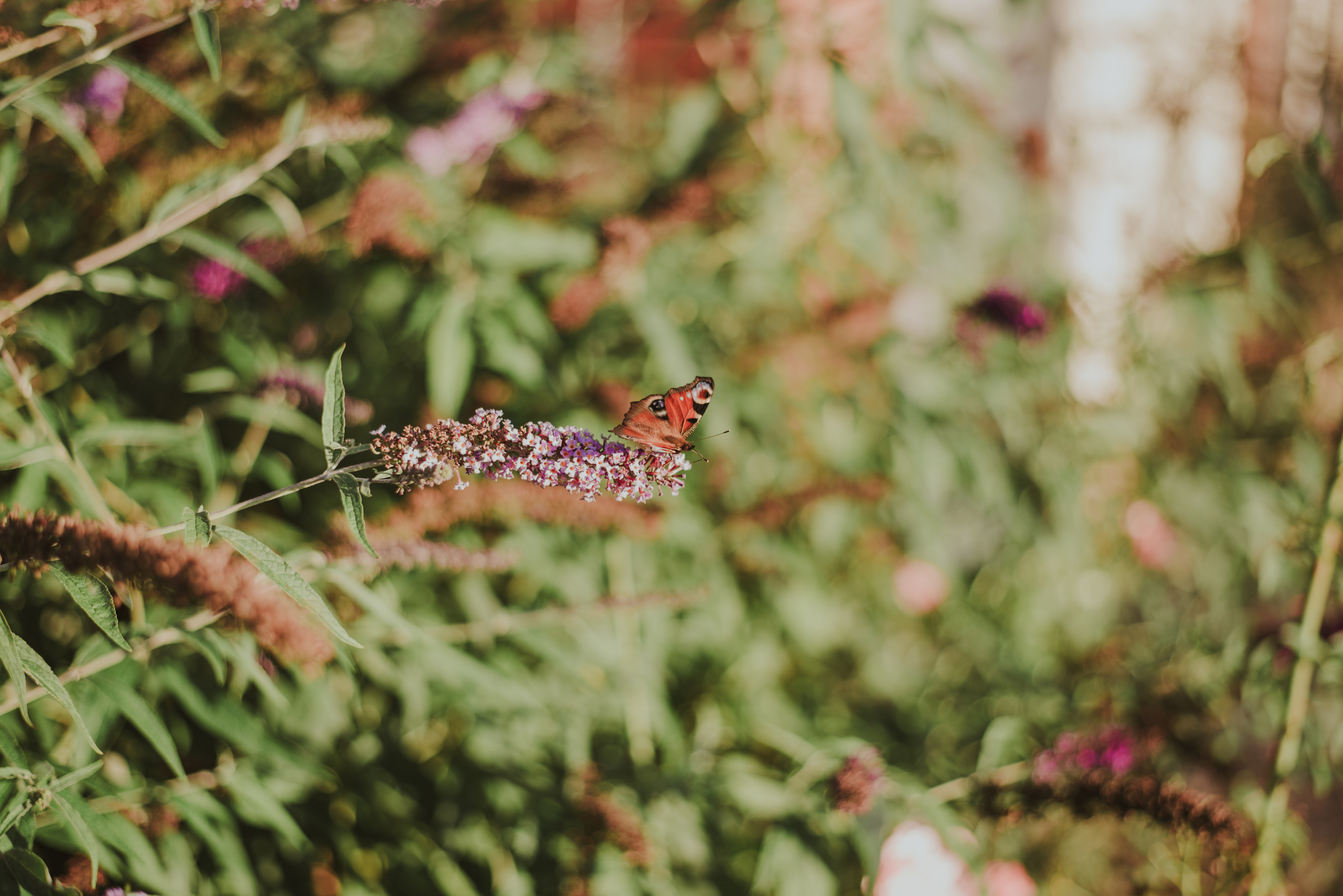 Ślub Marii & Darka w Hotel Chynów. Naturalnie pięknie - Klaudia Rowicka