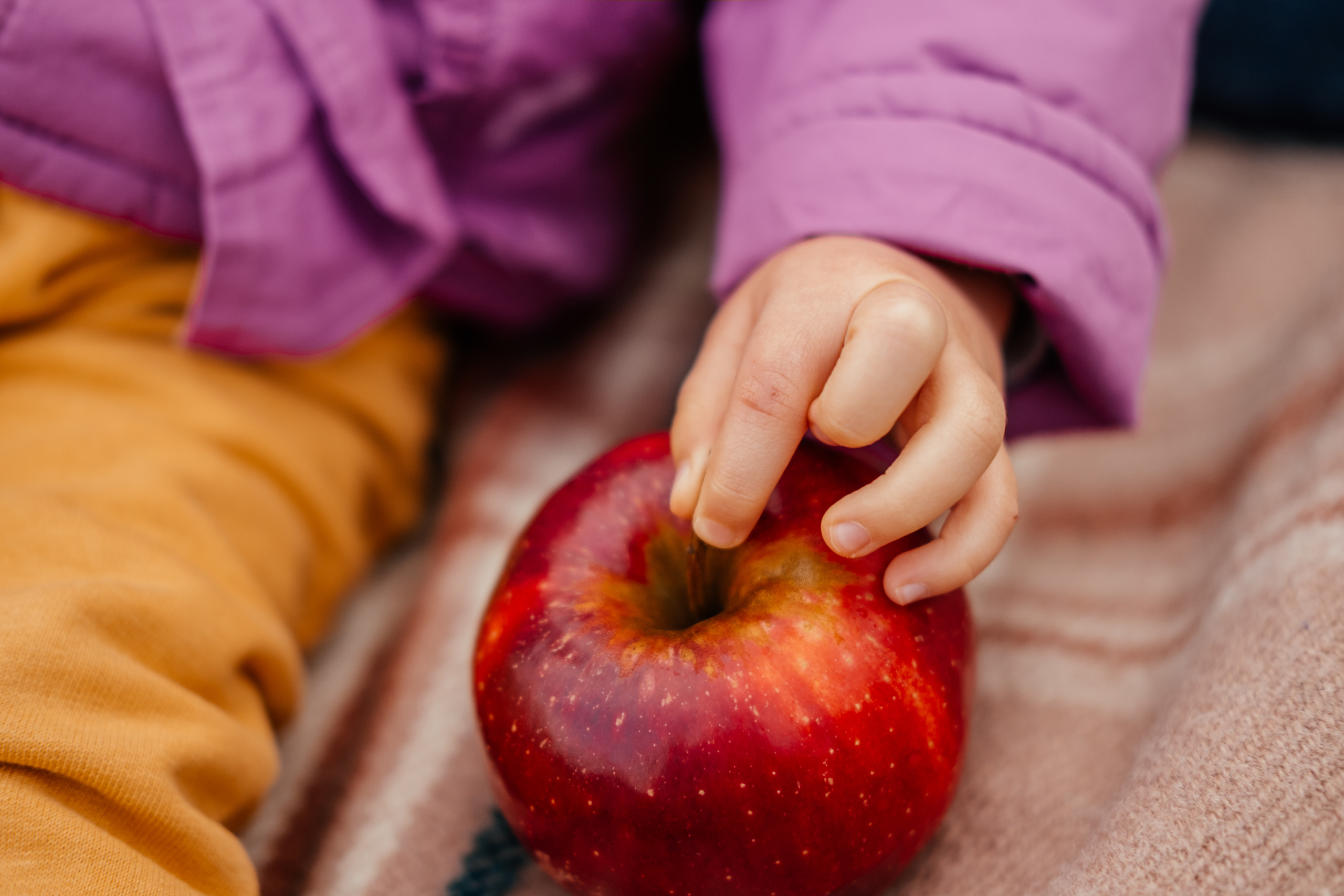 О поцелуях и шуршащих листьях. Сімейний і портретний фотограф у Києві Проценко Алла
