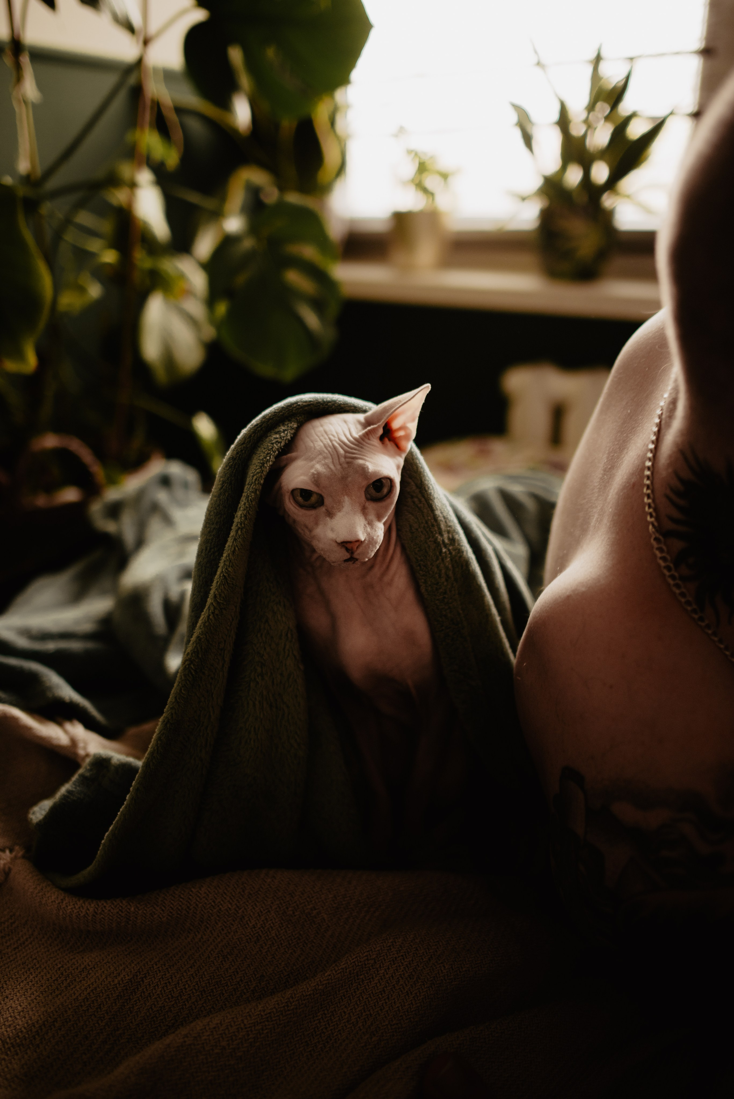 Domowa sesja rodzinna. Bałanda Fotografia – Sesje Kobiece, Rodzinne, Miłosne, Reportaże | Katowice Śląsk