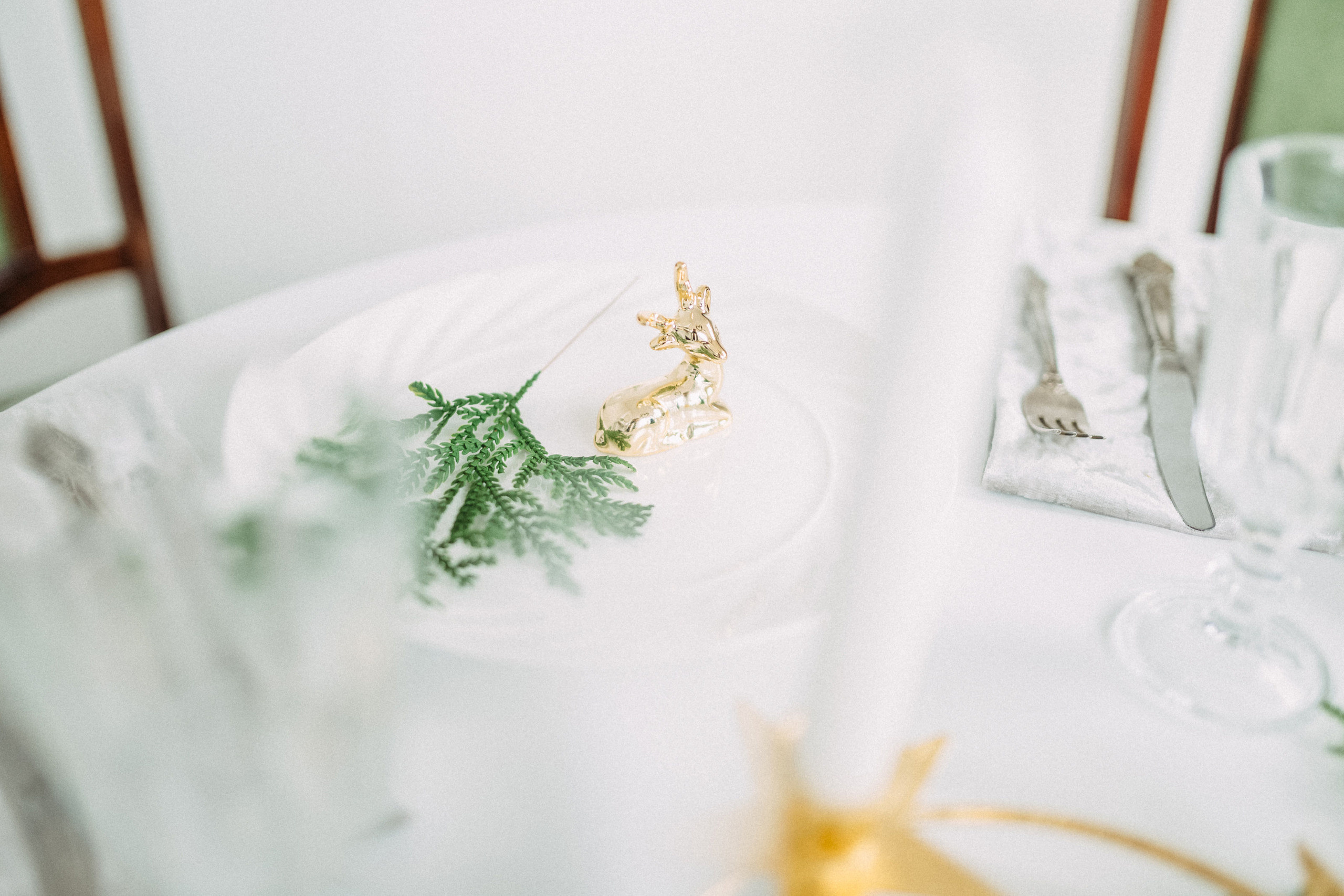 Семейная фотосессия. Весільний та Репортажний фотограф Іванченко Максим. Дніпро, Україна