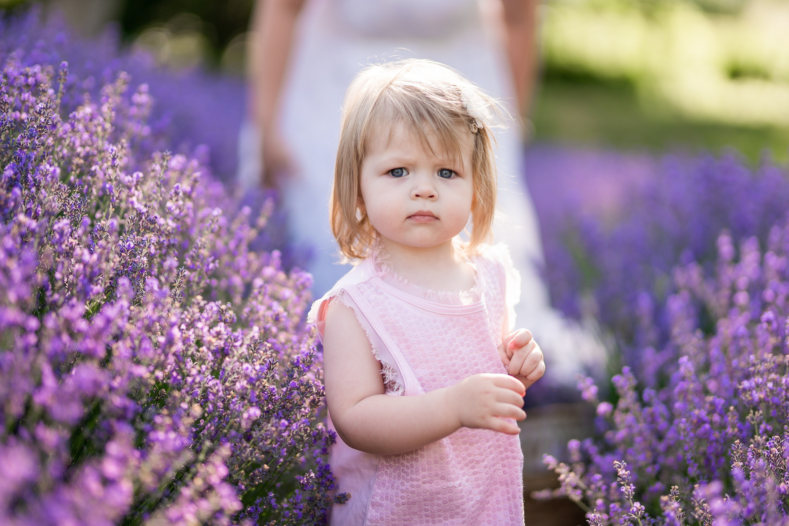 Найкращі лавандові фотосесії в Києві. Фотограф Київ Кислюк Олена