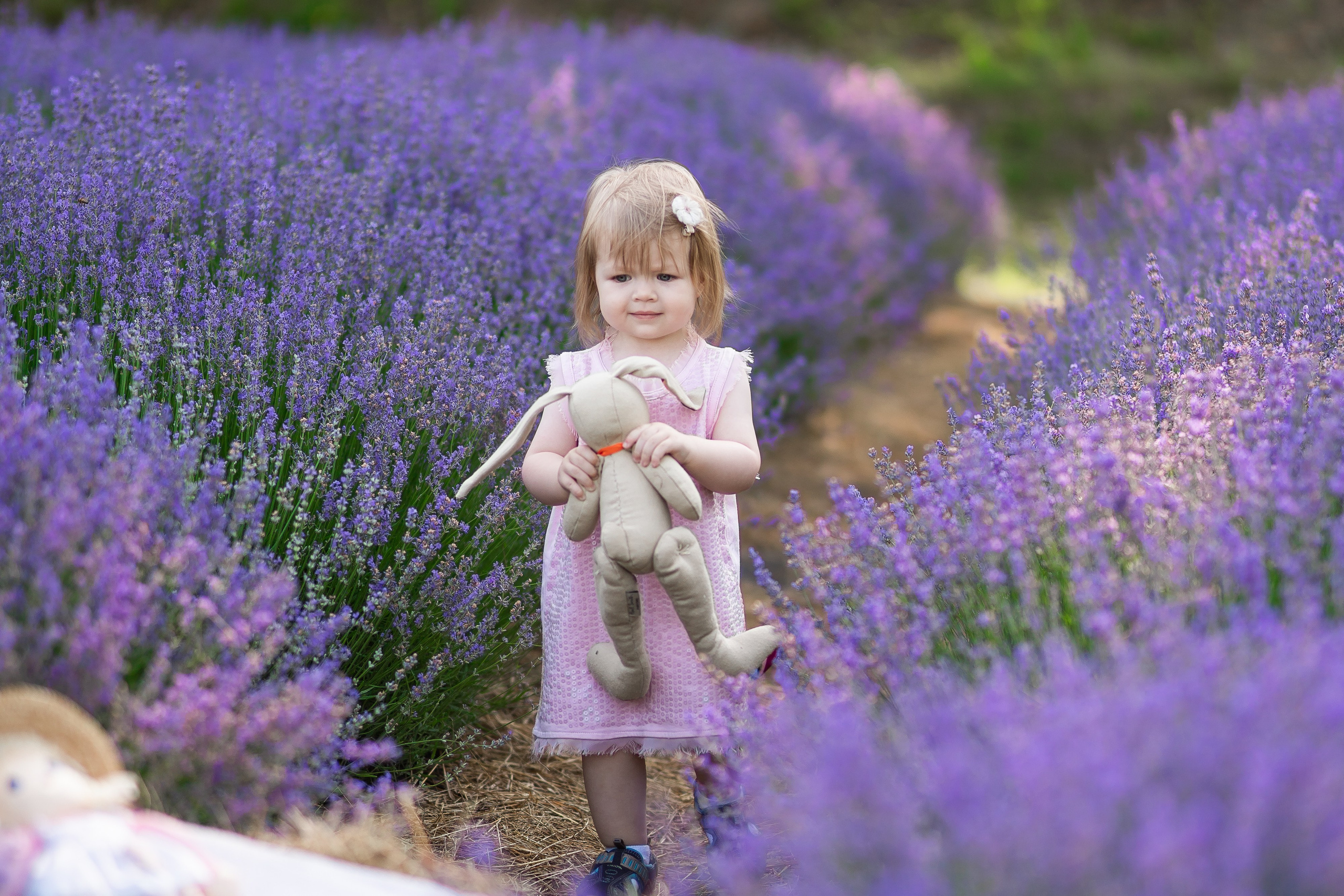 Найкращі лавандові фотосесії в Києві. Фотограф Київ Кислюк Олена