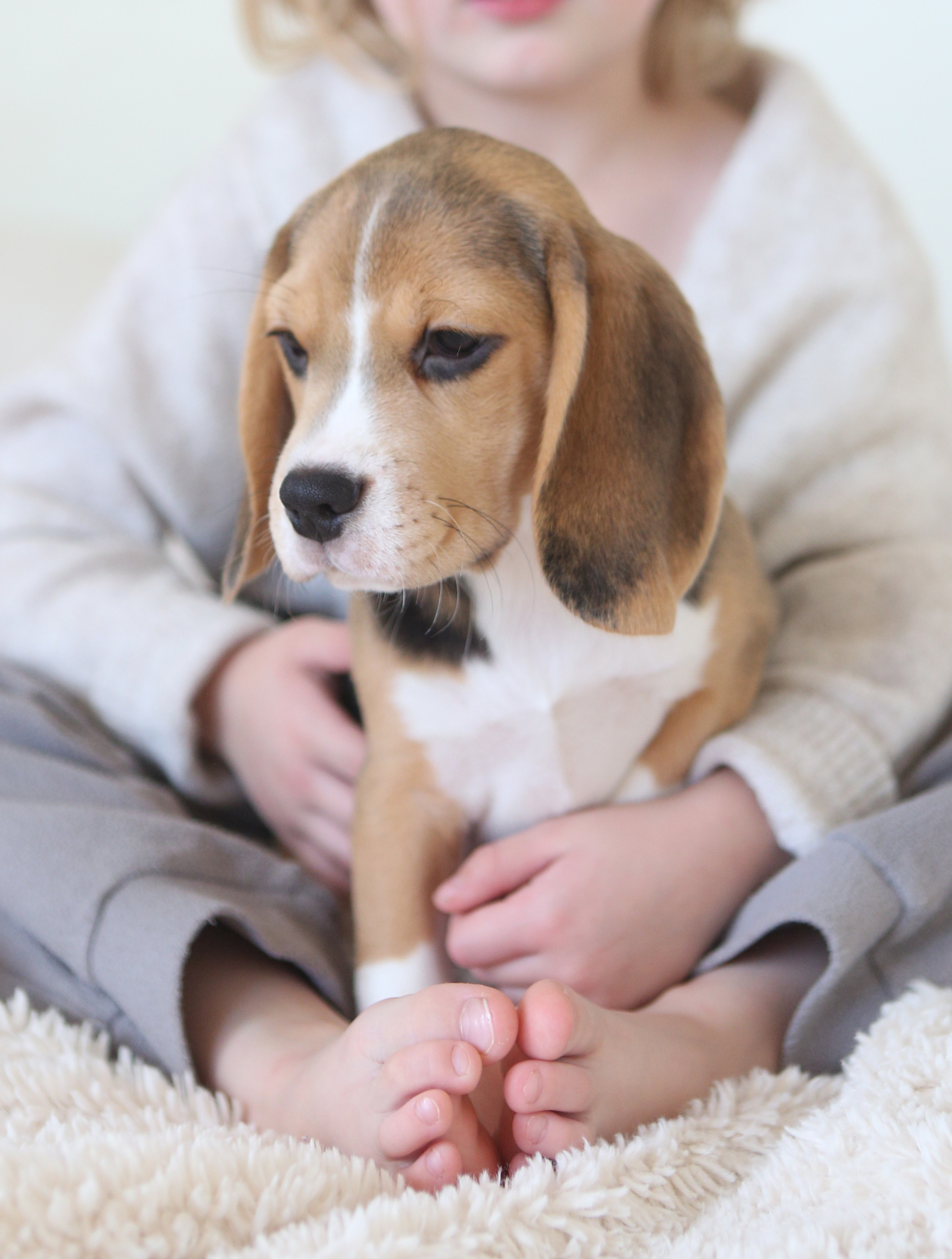Єрик+Перік. Розплідник біглей в Україні