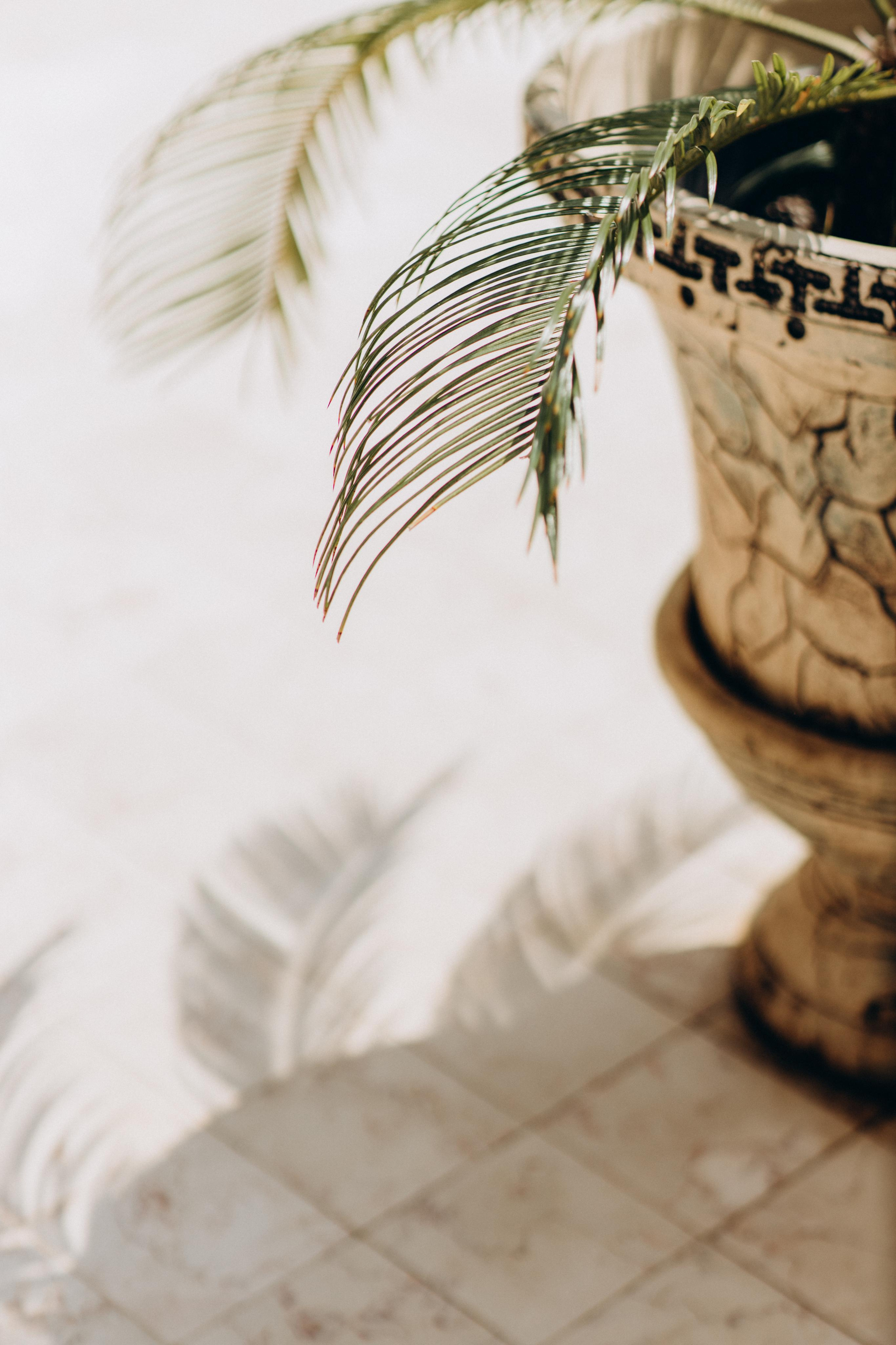 EUROPE WEDDING PRICE. Фотограф TSVETANA.PH