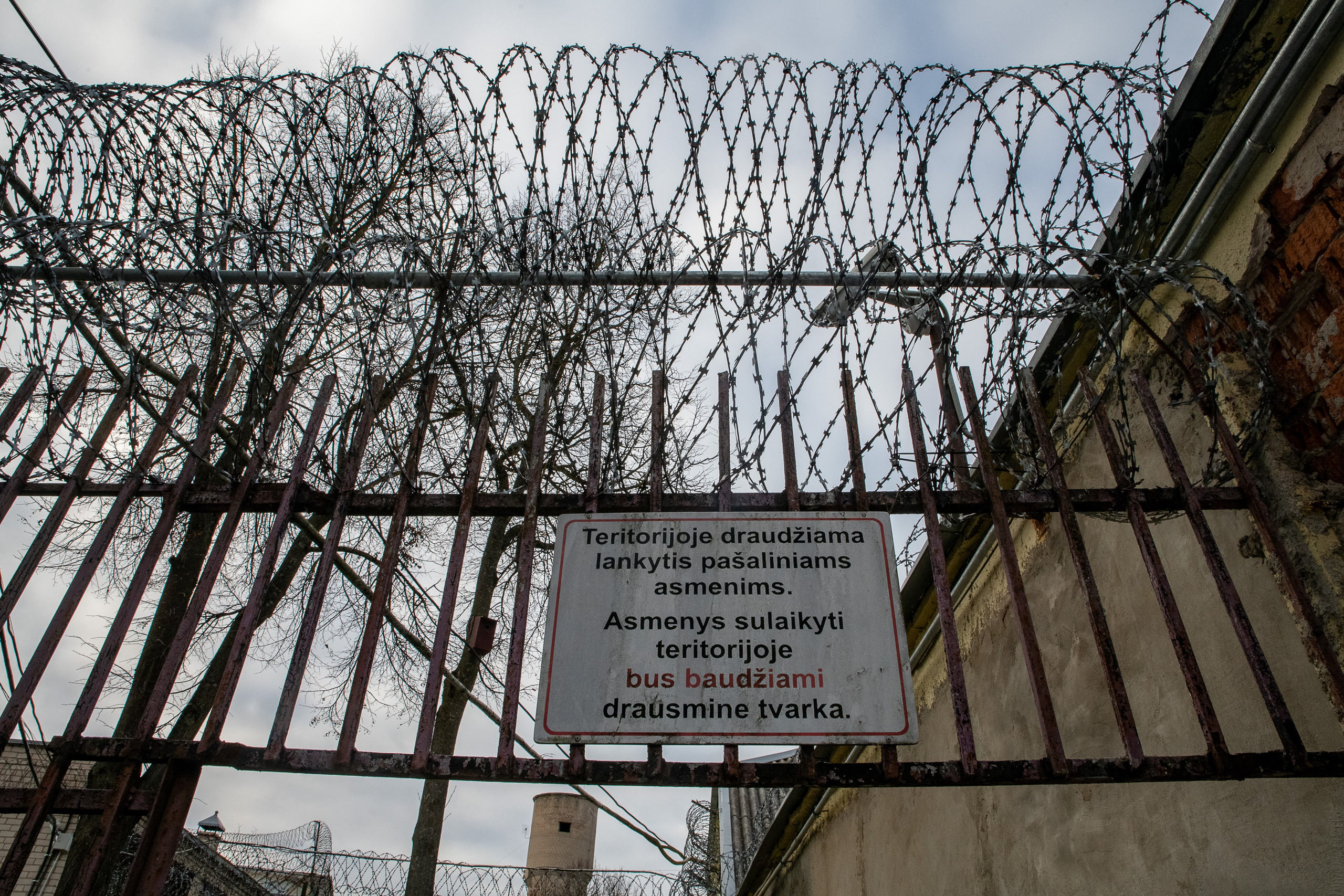 Fotografas — Aleksandras Savickis