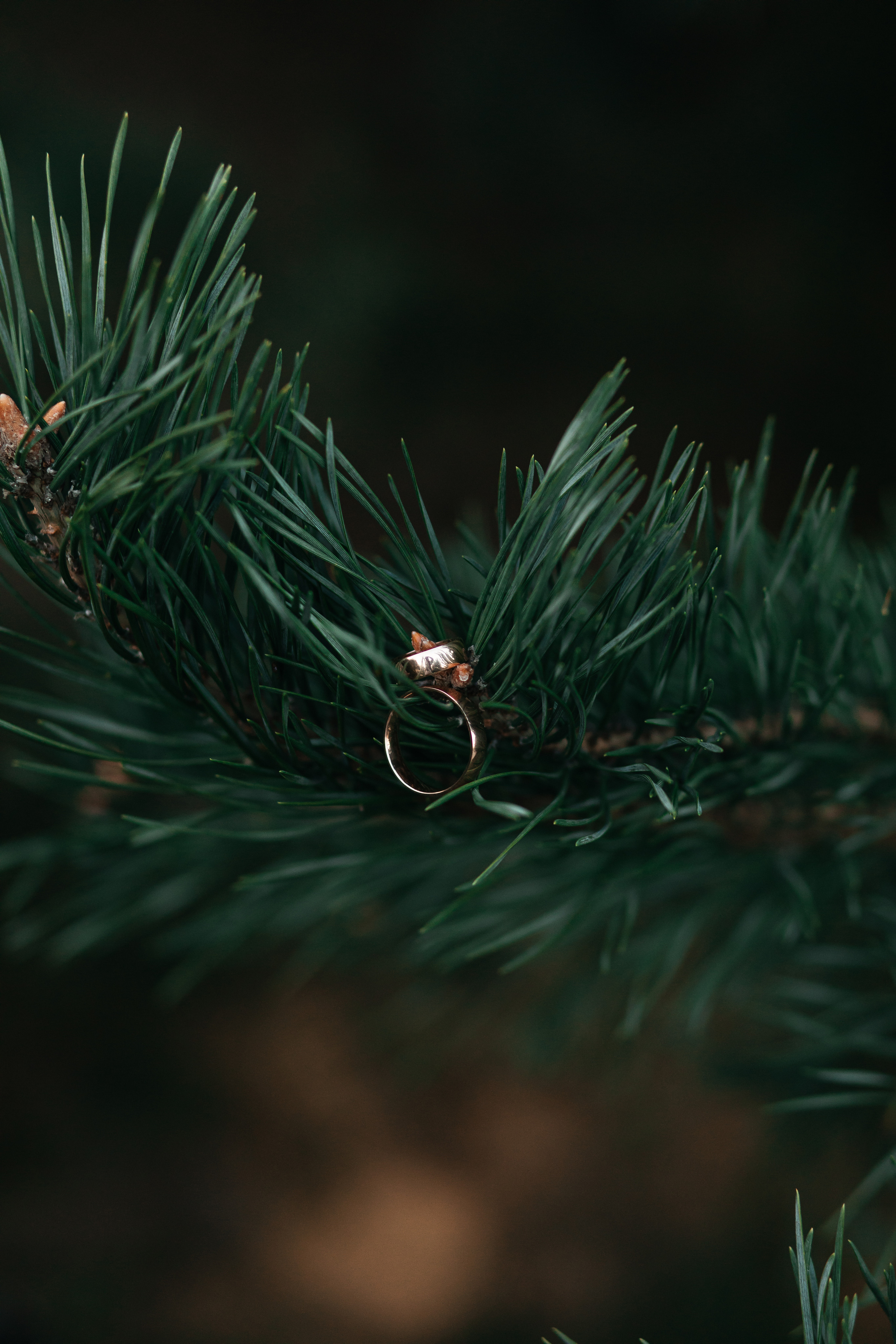 Свадьба Юлии и Александра. Photographer Dnipro