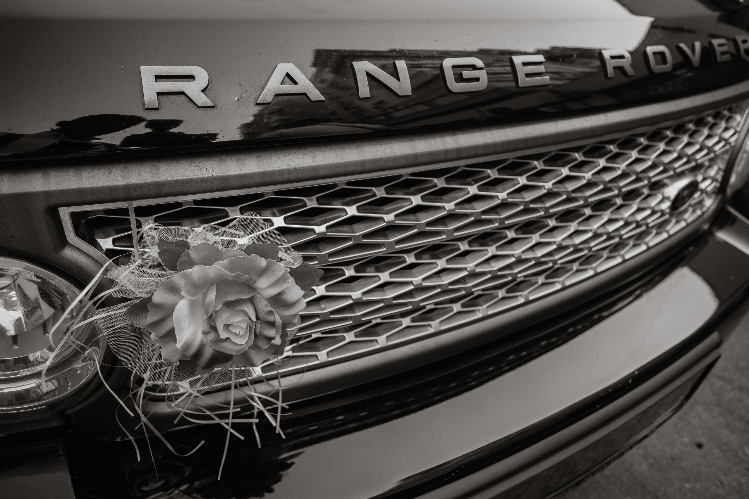 Свадьба Юлии и Александра. Photographer Dnipro