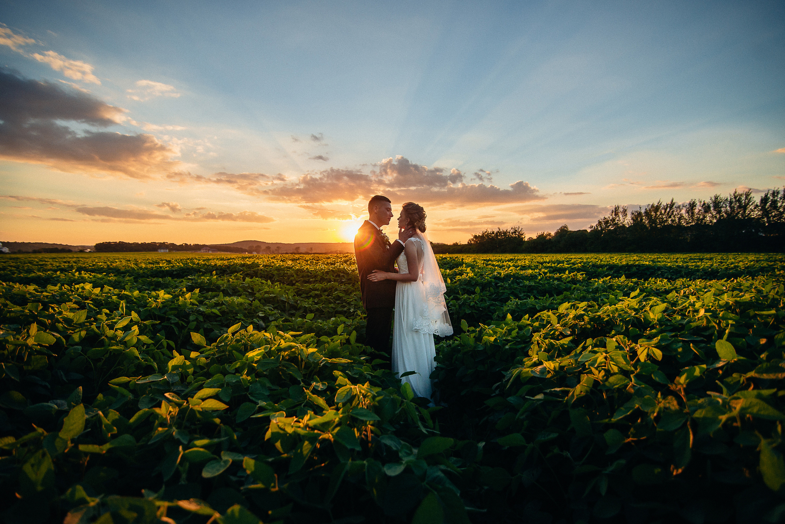 Послуги. Весільний фотограф Цимбалюк Микола Луцьк