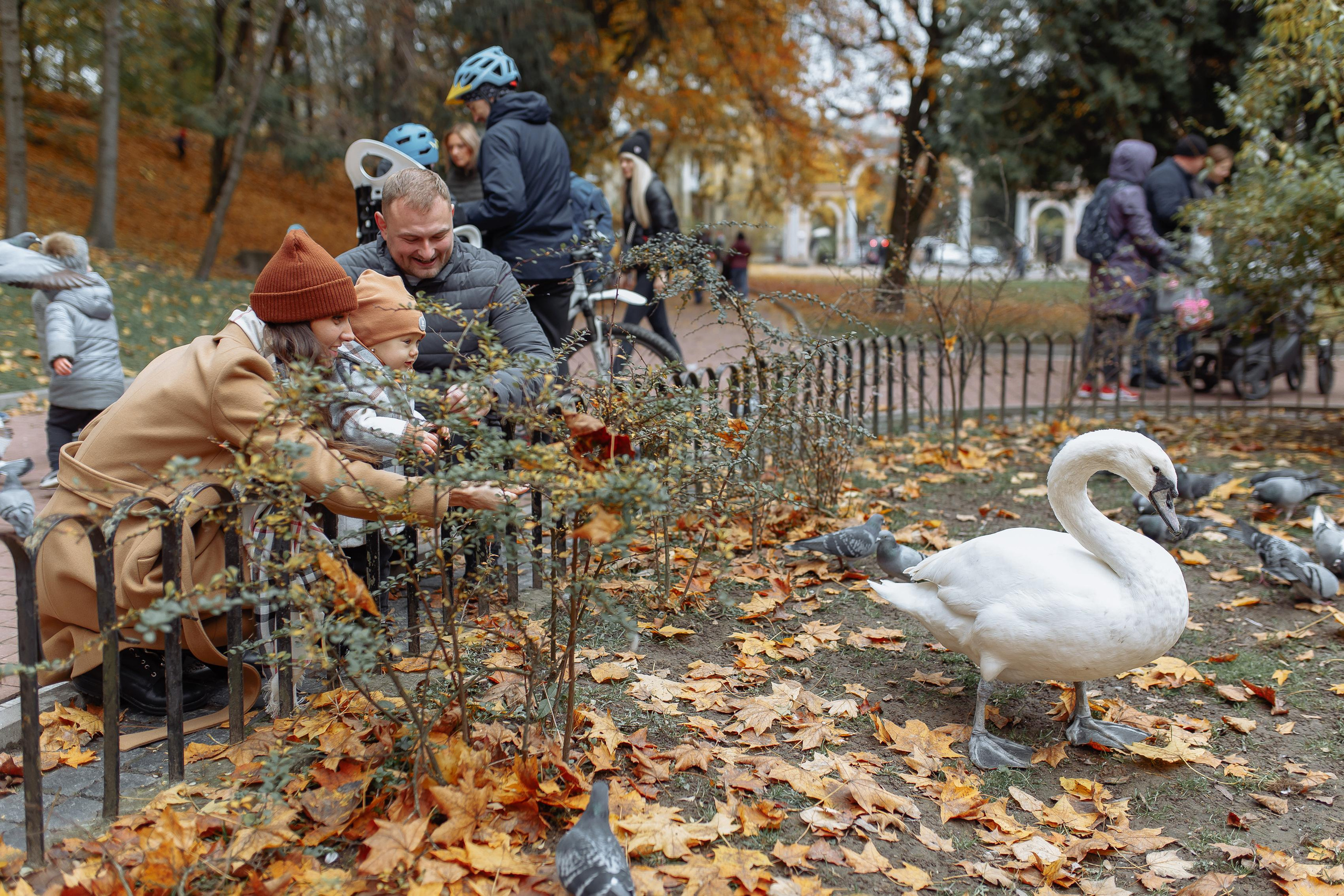 Сімейна фотосесія, Сімейний фотограф. Тарас Бовт. Фотограф Львів. Портрети та репортаж з подій