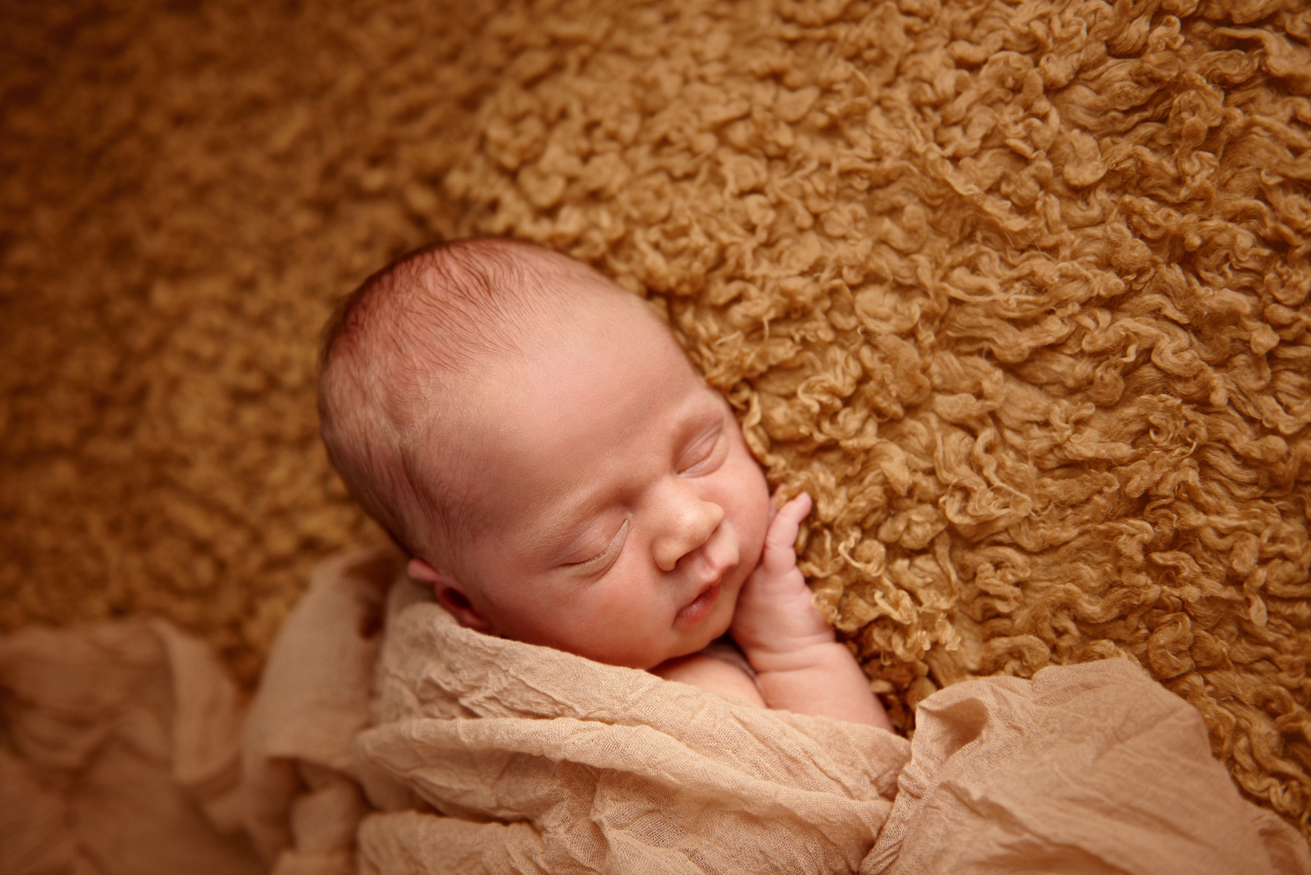Фотосесії новонароджених малюків. Фотограф новонароджених діток та їх сімей в Тернополі