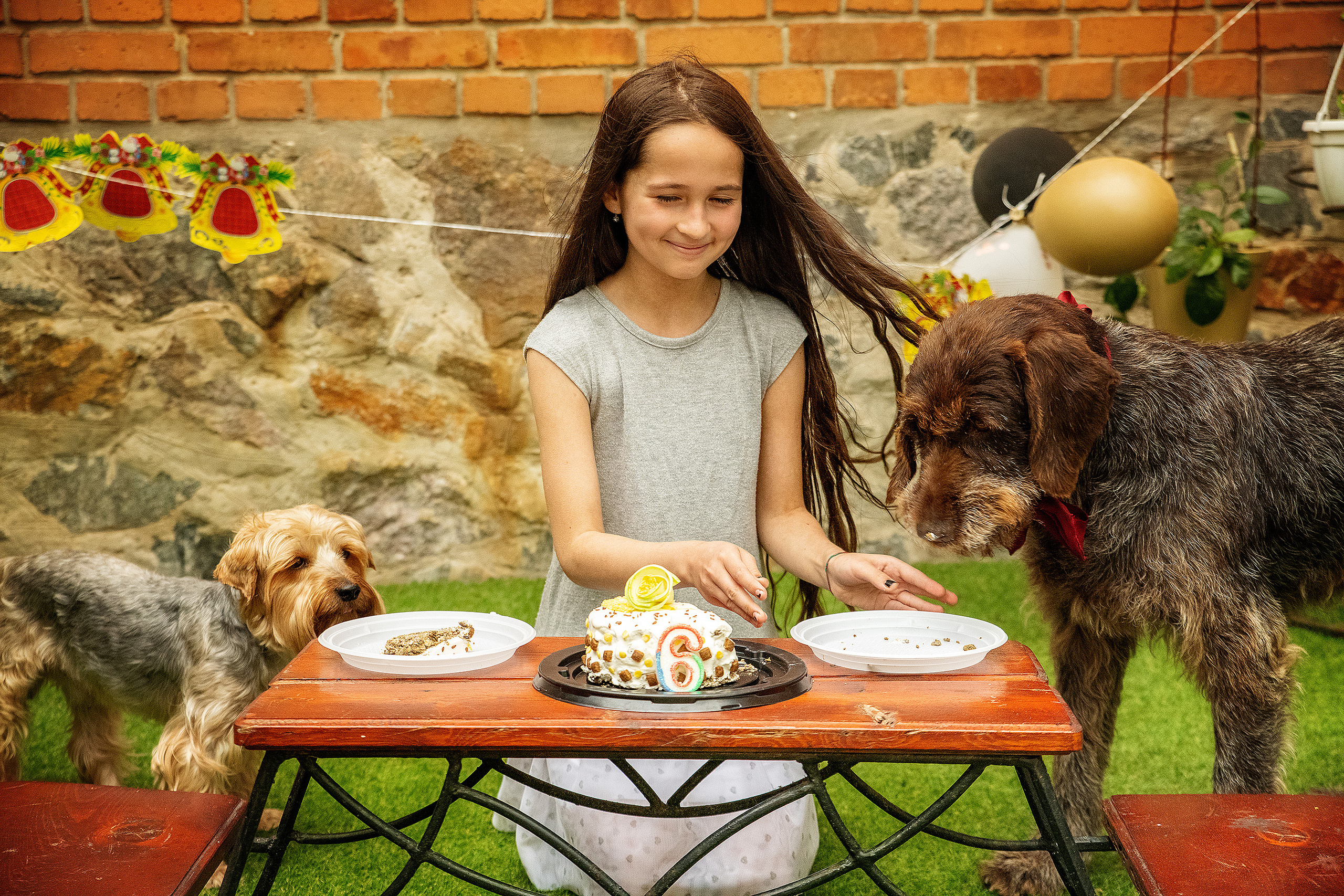 Pets birthday. Фотограф в Запоріжжі та Європі