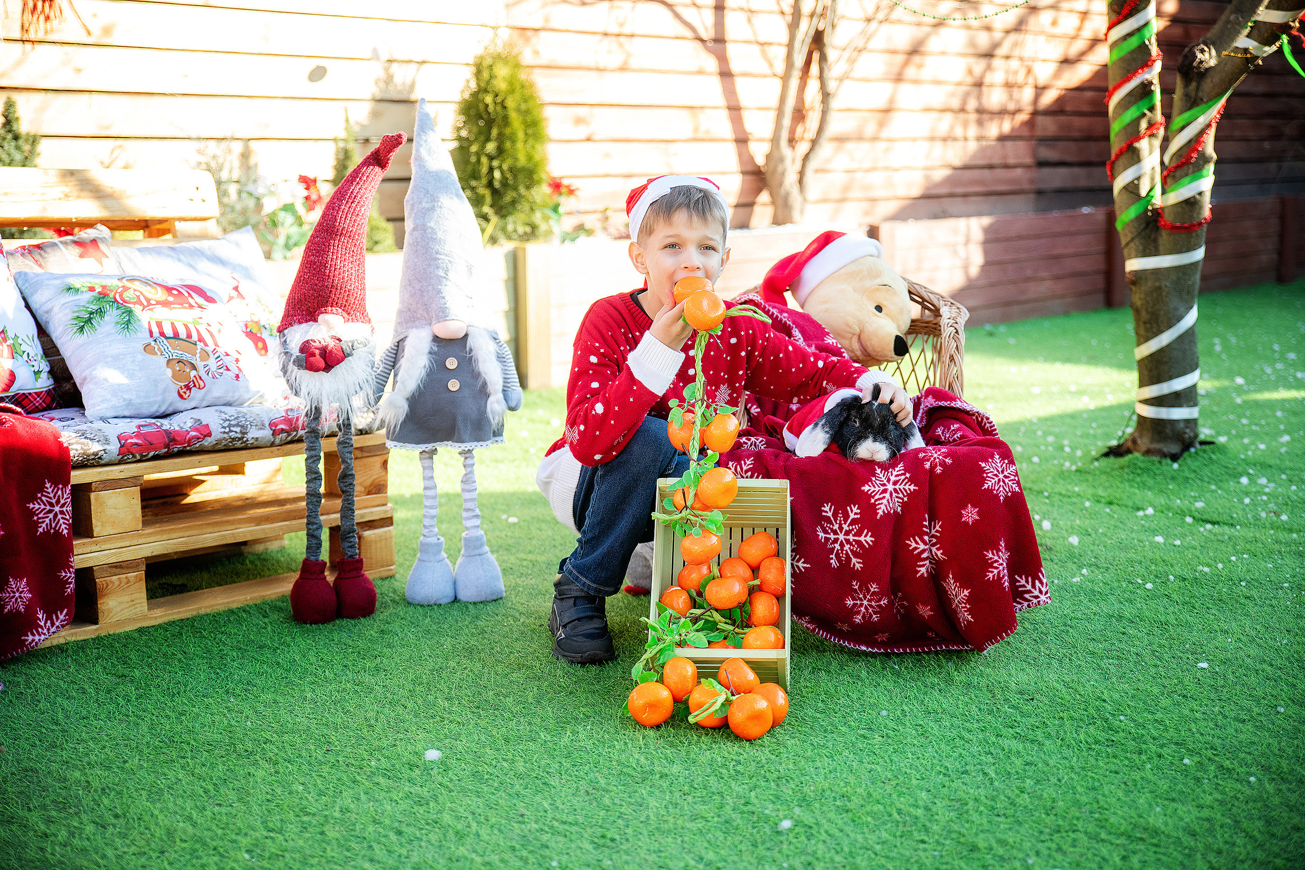 Новый год 2023. Фотограф в Запоріжжі та Європі