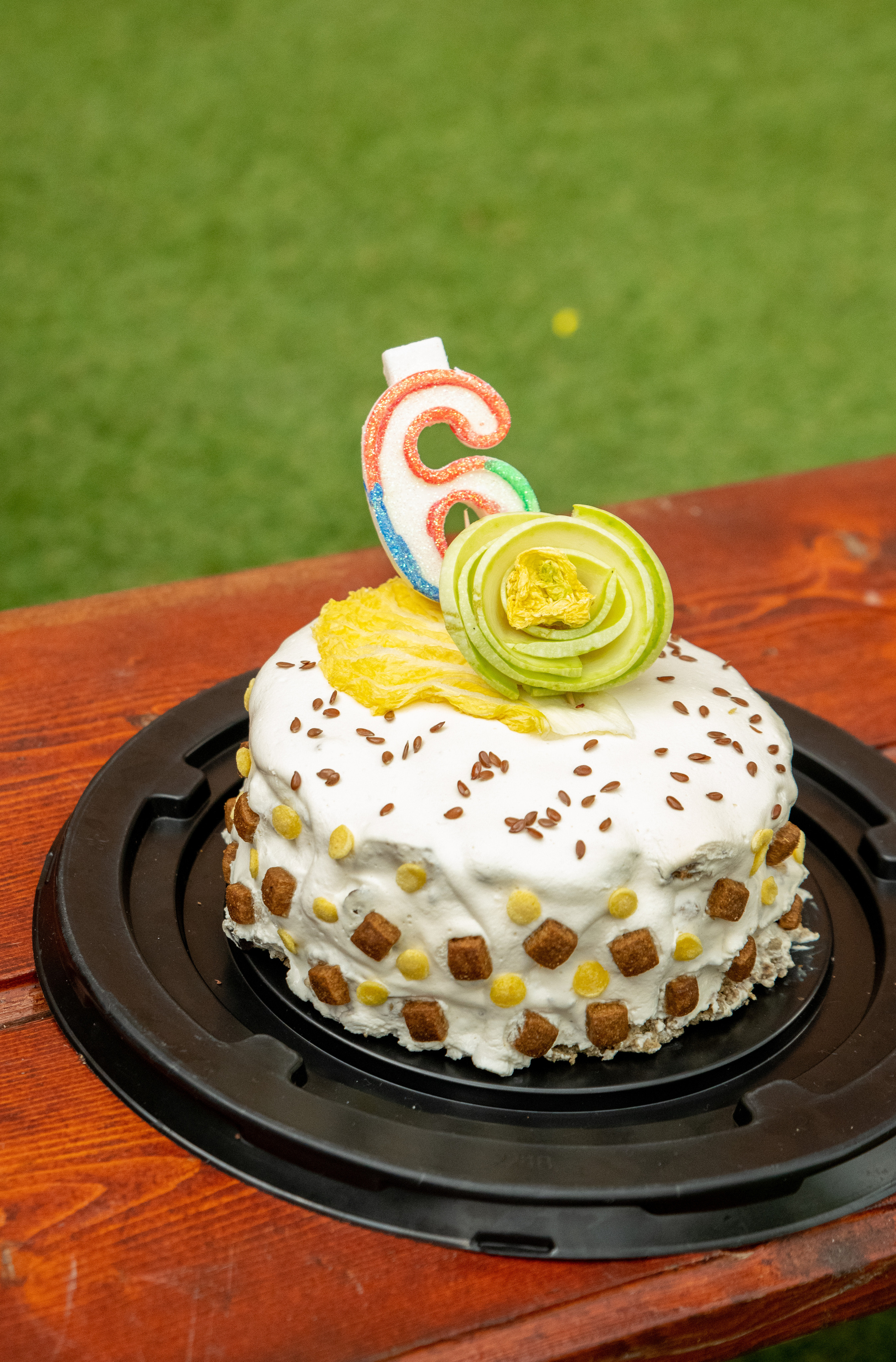 Pets birthday. Фотограф в Запоріжжі та Європі