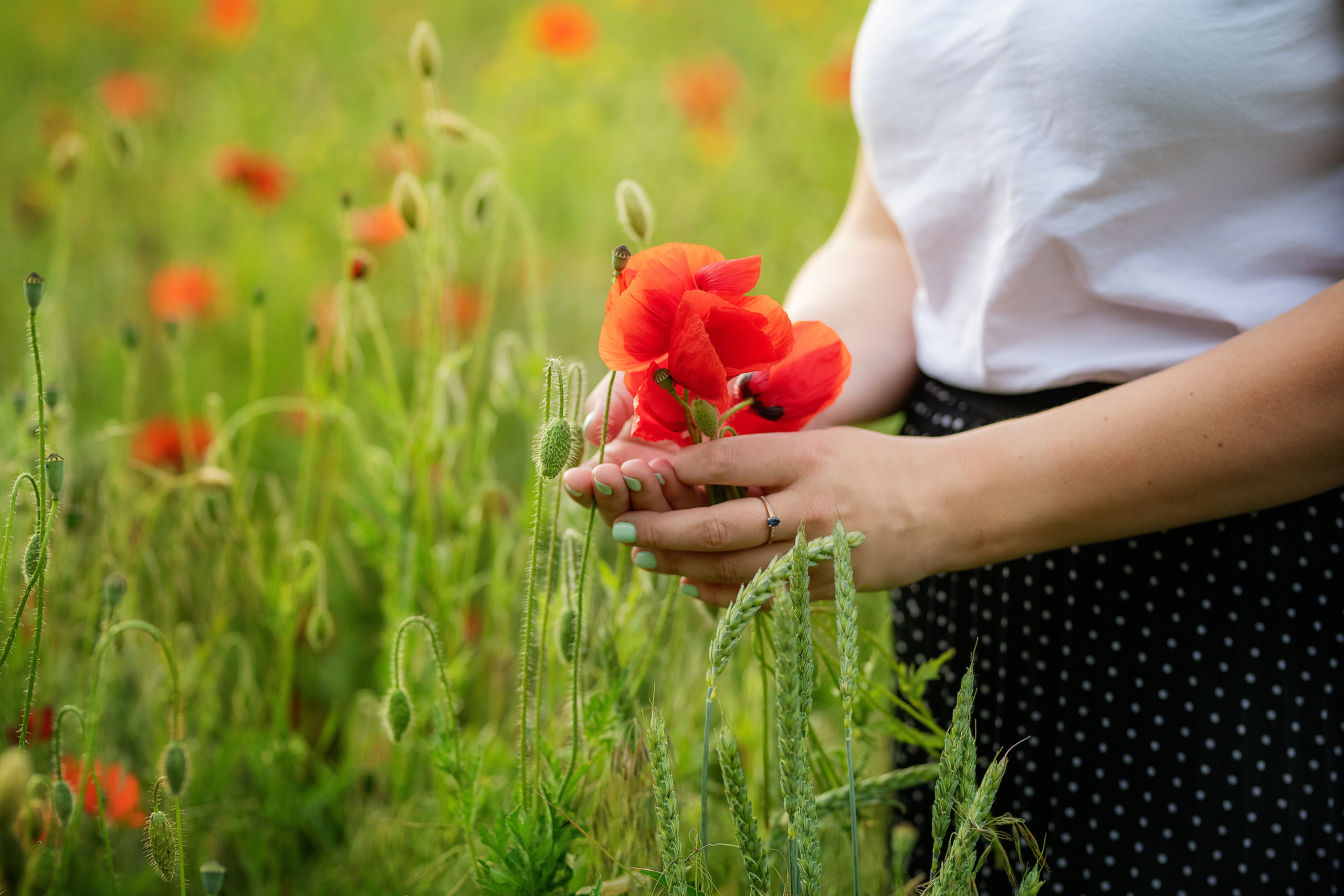 Фотосессия в маках. Фотограф в Запоріжжі та Європі