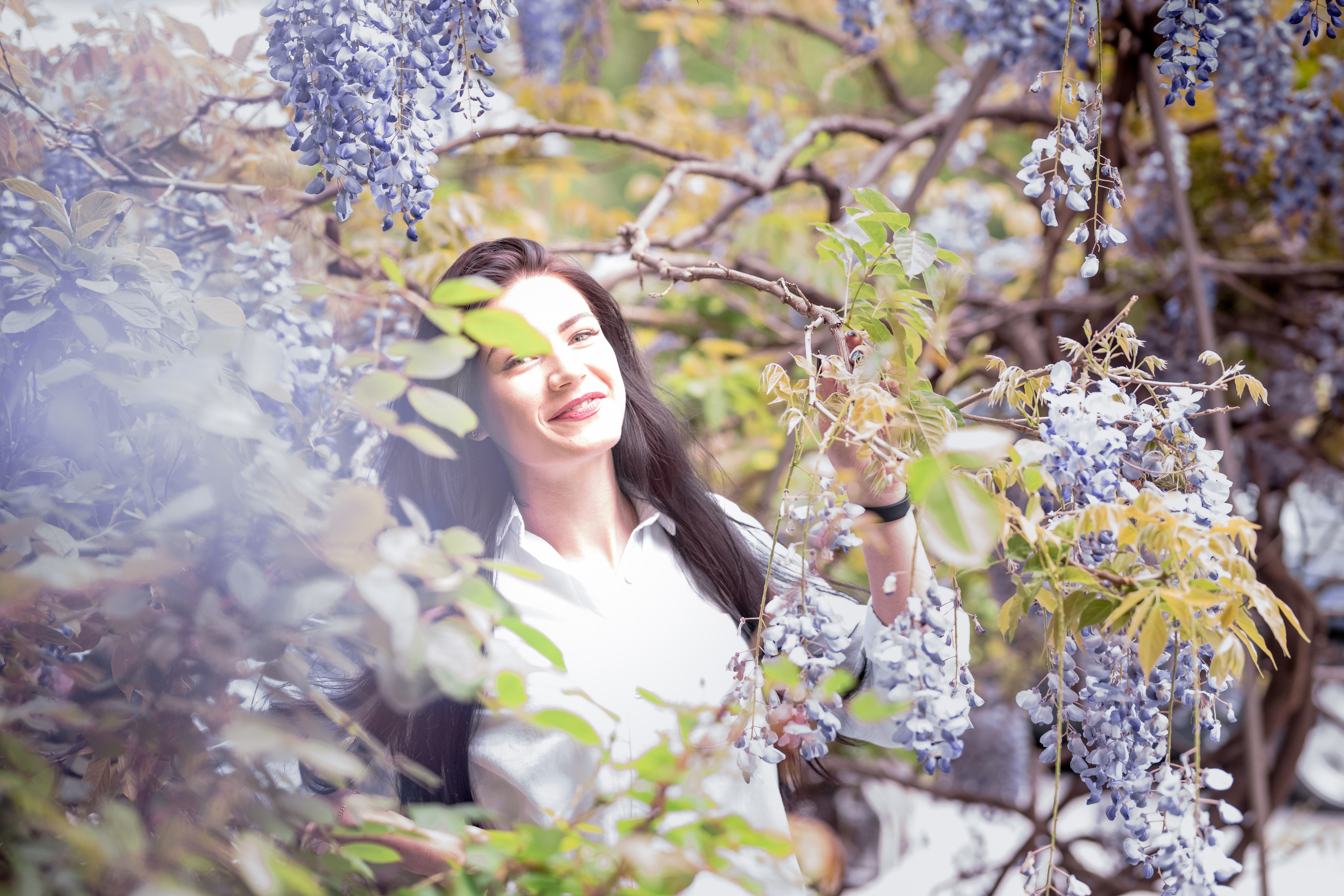 Фотосессия в глицинии. Фотограф в Запоріжжі та Європі
