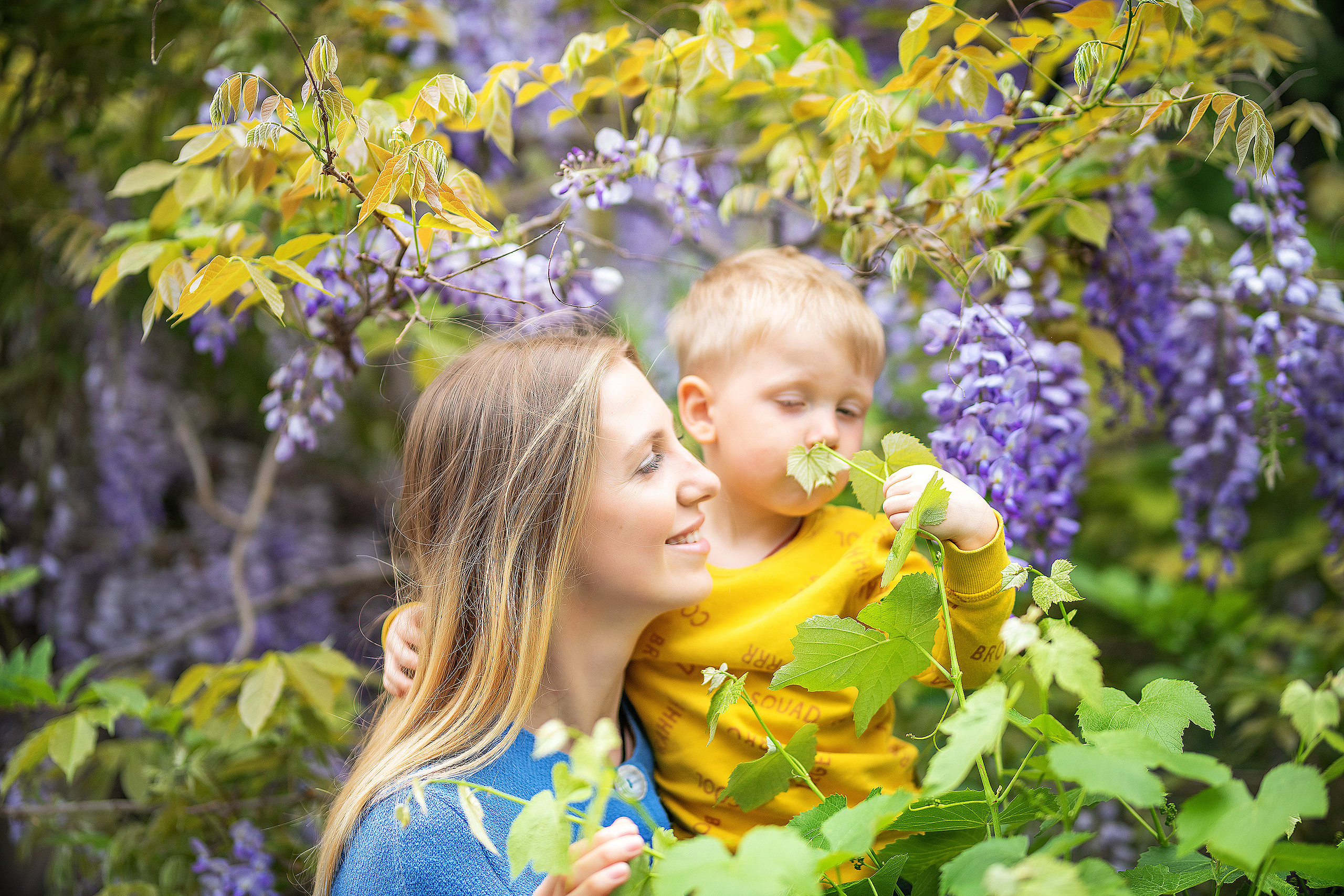 Фотосессия в глицинии. Фотограф в Запоріжжі та Європі