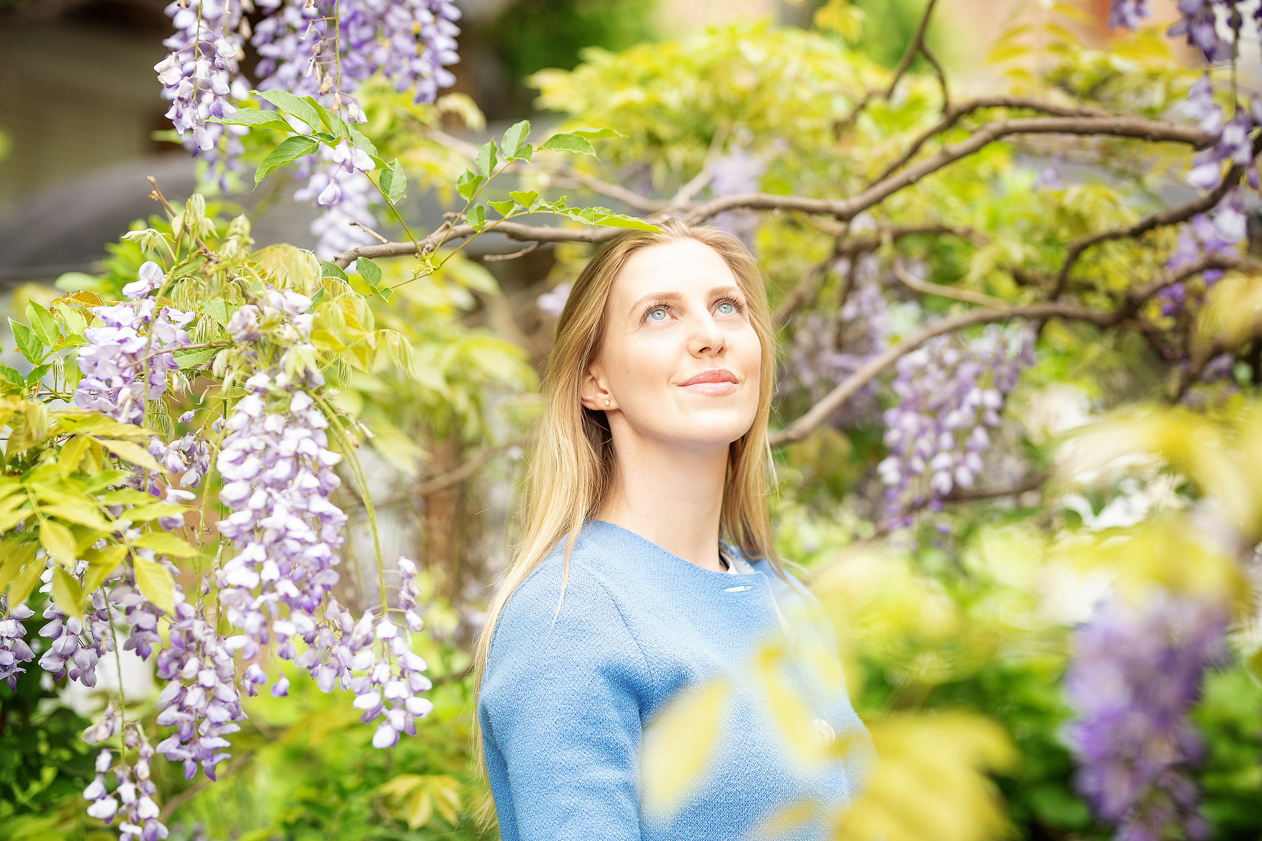 Фотосессия в глицинии. Фотограф в Запоріжжі та Європі